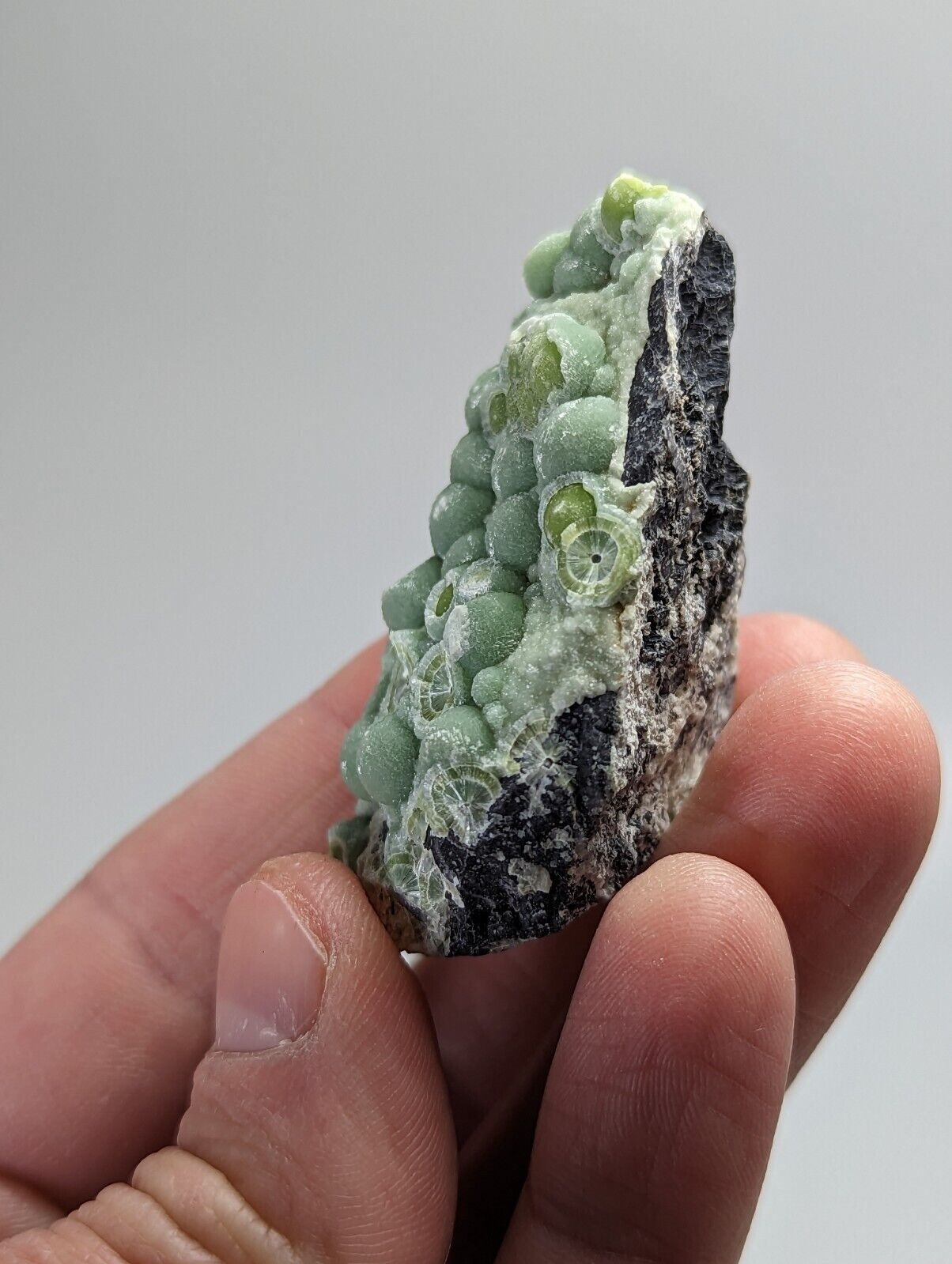 Wavellite - Fantastic Old Stock - Mauldin Mountain Arkansas - Collectibles:Rocks Fossils & Minerals:Crystals Mineral