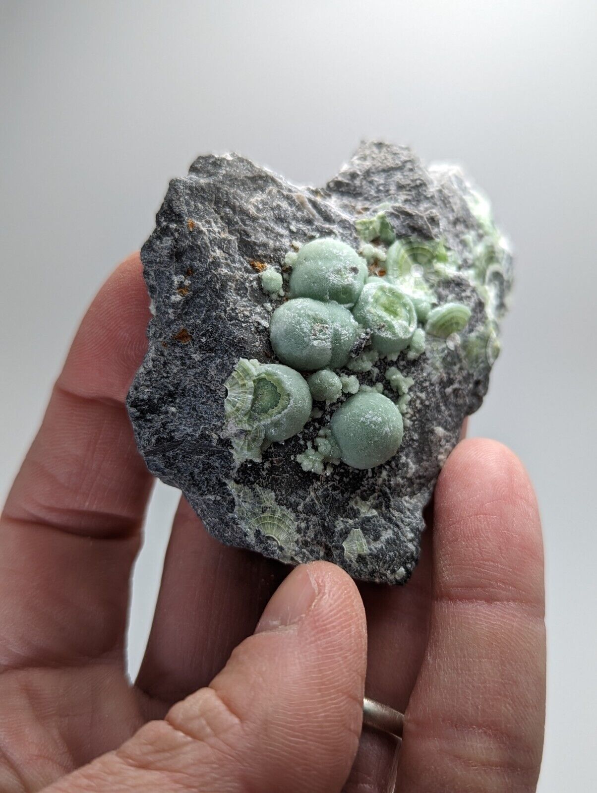 Wavellite - Fantastic Old Stock - Mauldin Mountain Arkansas - Collectibles:Rocks Fossils & Minerals:Crystals Mineral