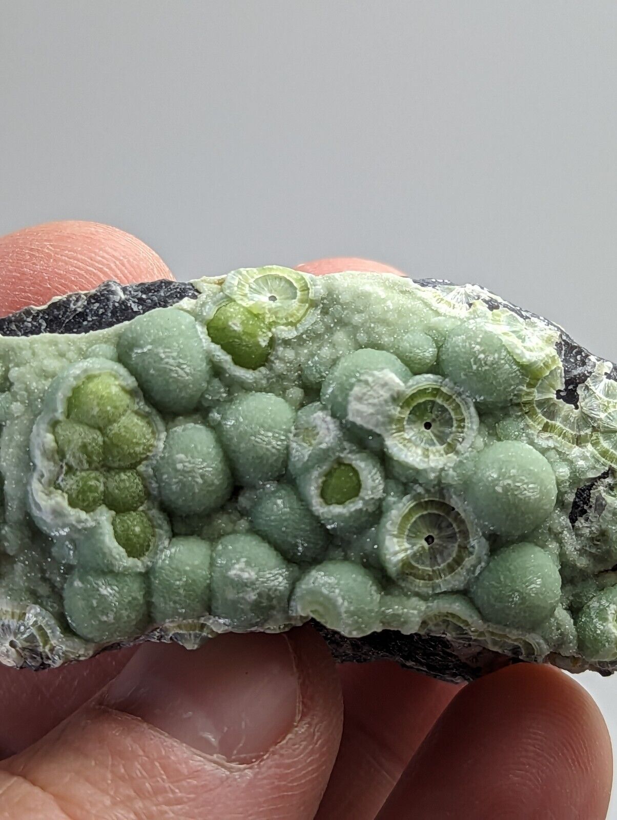 Wavellite - Fantastic Old Stock - Mauldin Mountain Arkansas - Collectibles:Rocks Fossils & Minerals:Crystals Mineral