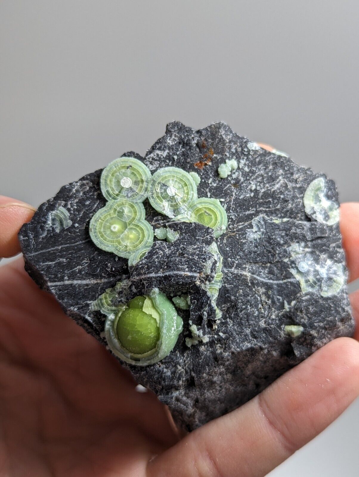 Wavellite - Fantastic Old Stock - Mauldin Mountain Arkansas - Collectibles:Rocks Fossils & Minerals:Crystals Mineral