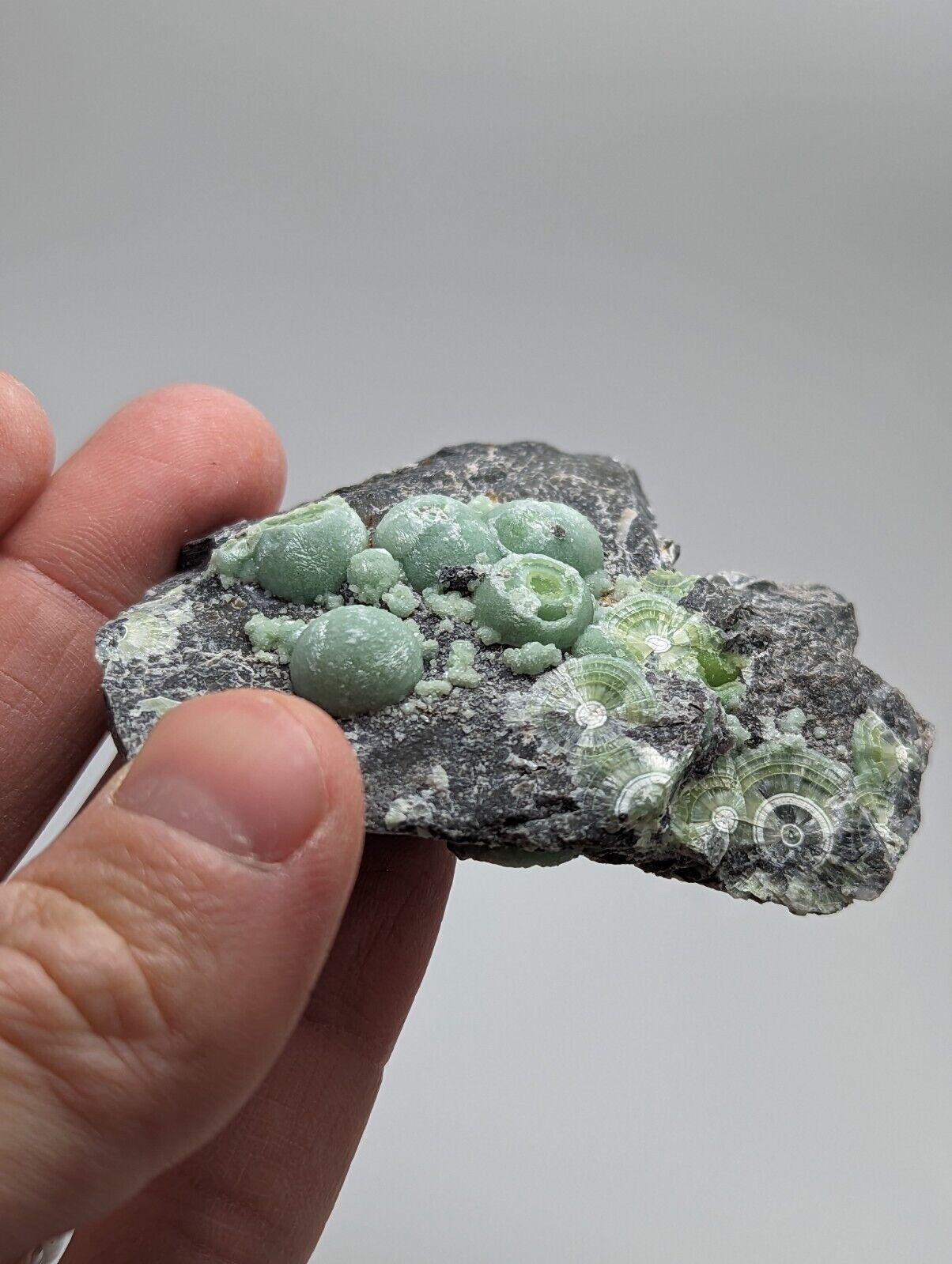 Wavellite - Fantastic Old Stock - Mauldin Mountain Arkansas - Collectibles:Rocks Fossils & Minerals:Crystals Mineral