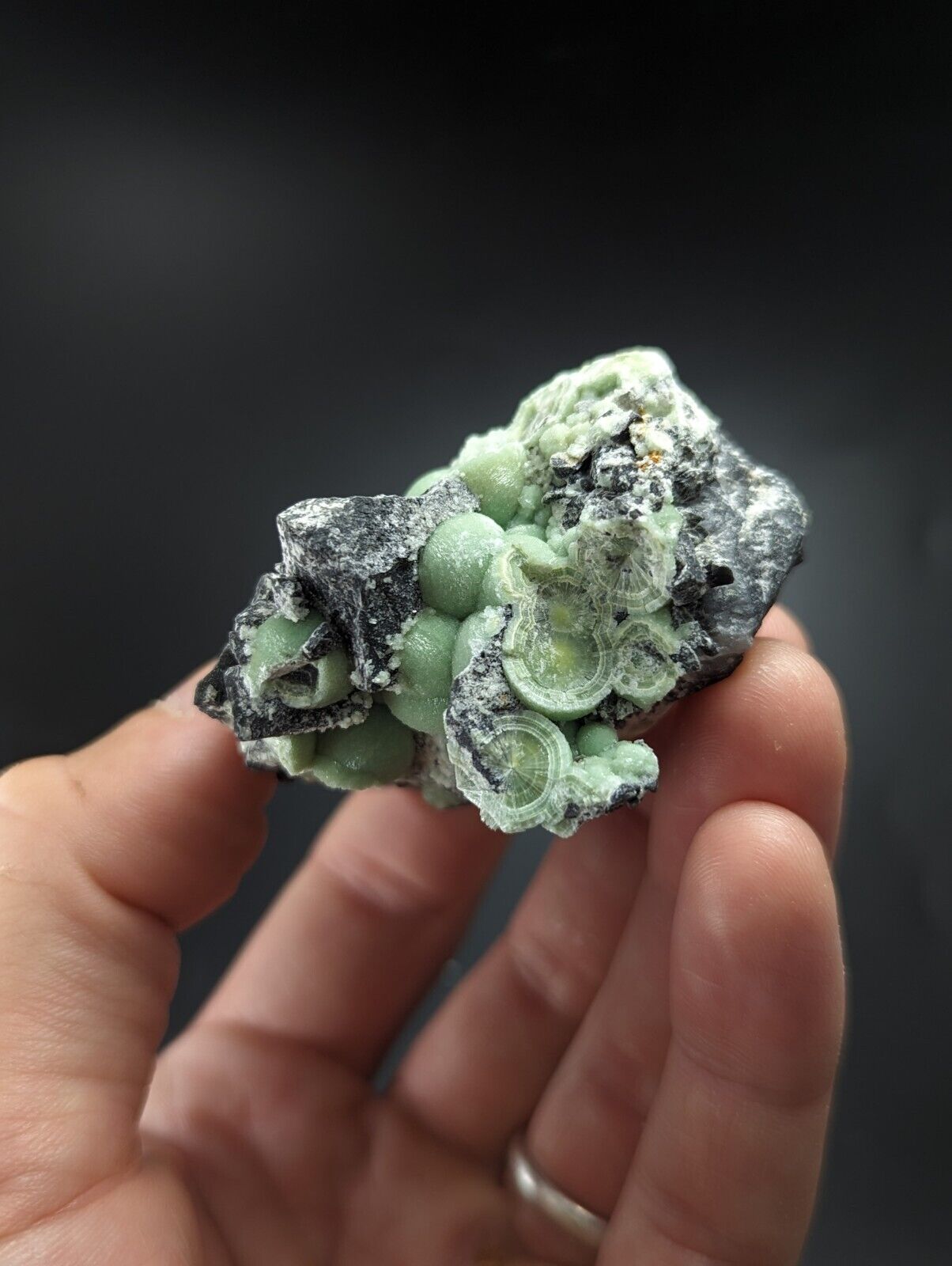 Wavellite - Fantastic Old Stock - Mauldin Mountain Arkansas - Collectibles:Rocks Fossils & Minerals:Crystals Mineral