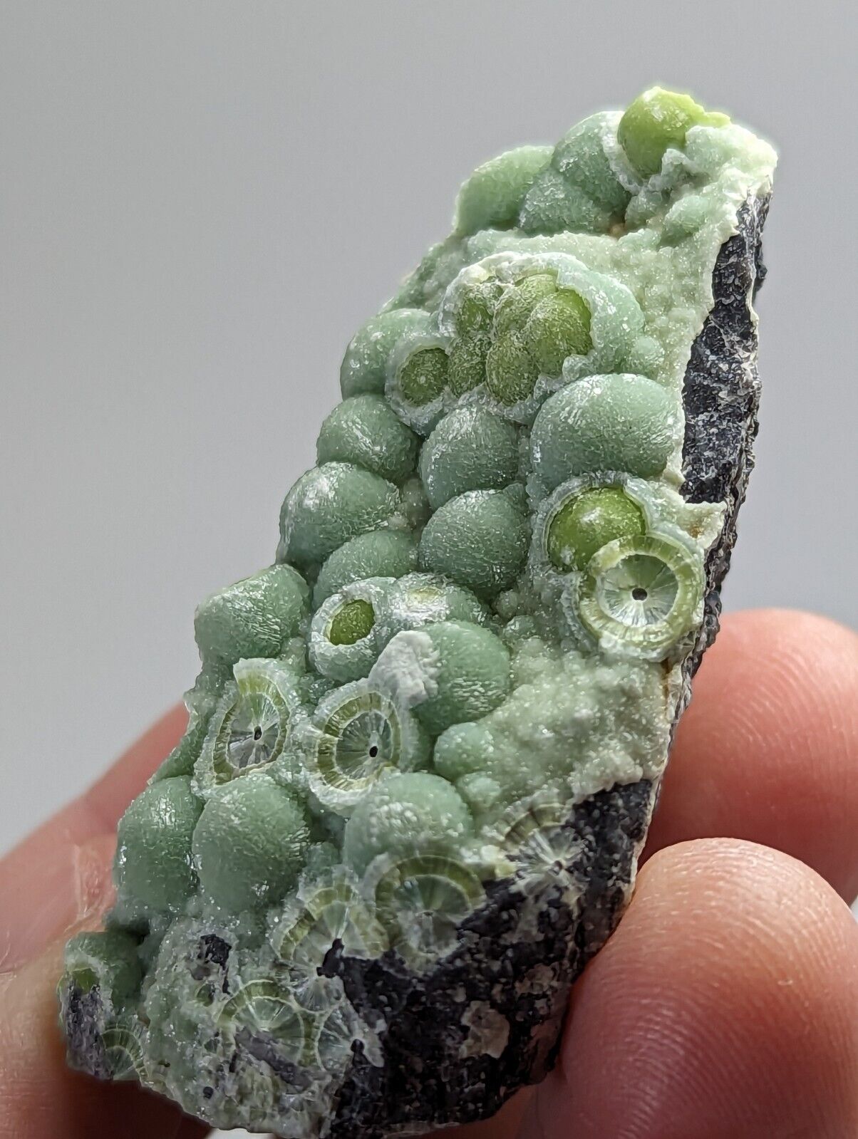 Wavellite - Fantastic Old Stock - Mauldin Mountain Arkansas - Collectibles:Rocks Fossils & Minerals:Crystals Mineral