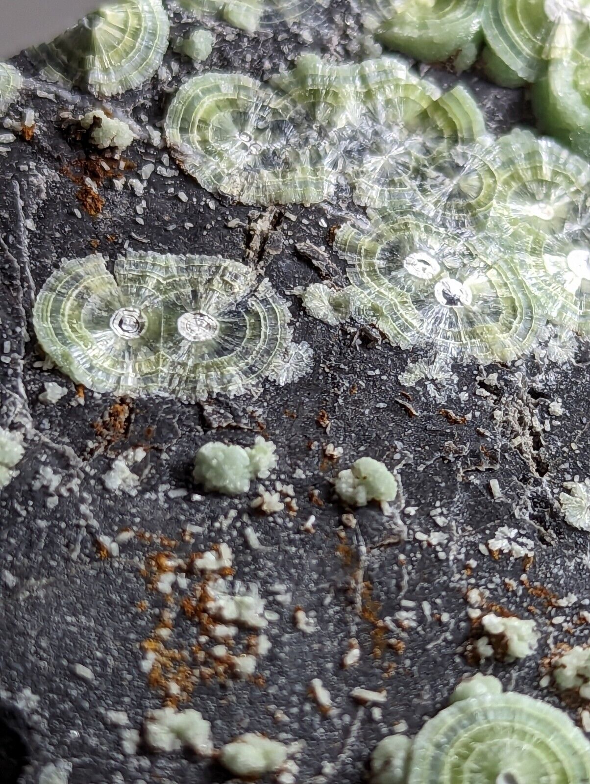 Wavellite - Fantastic Old Stock - Mauldin Mountain Arkansas - Collectibles:Rocks Fossils & Minerals:Crystals Mineral
