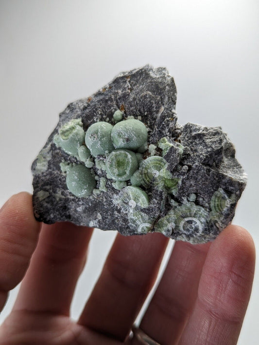 Wavellite - Fantastic Old Stock - Mauldin Mountain Arkansas - Collectibles:Rocks Fossils & Minerals:Crystals Mineral