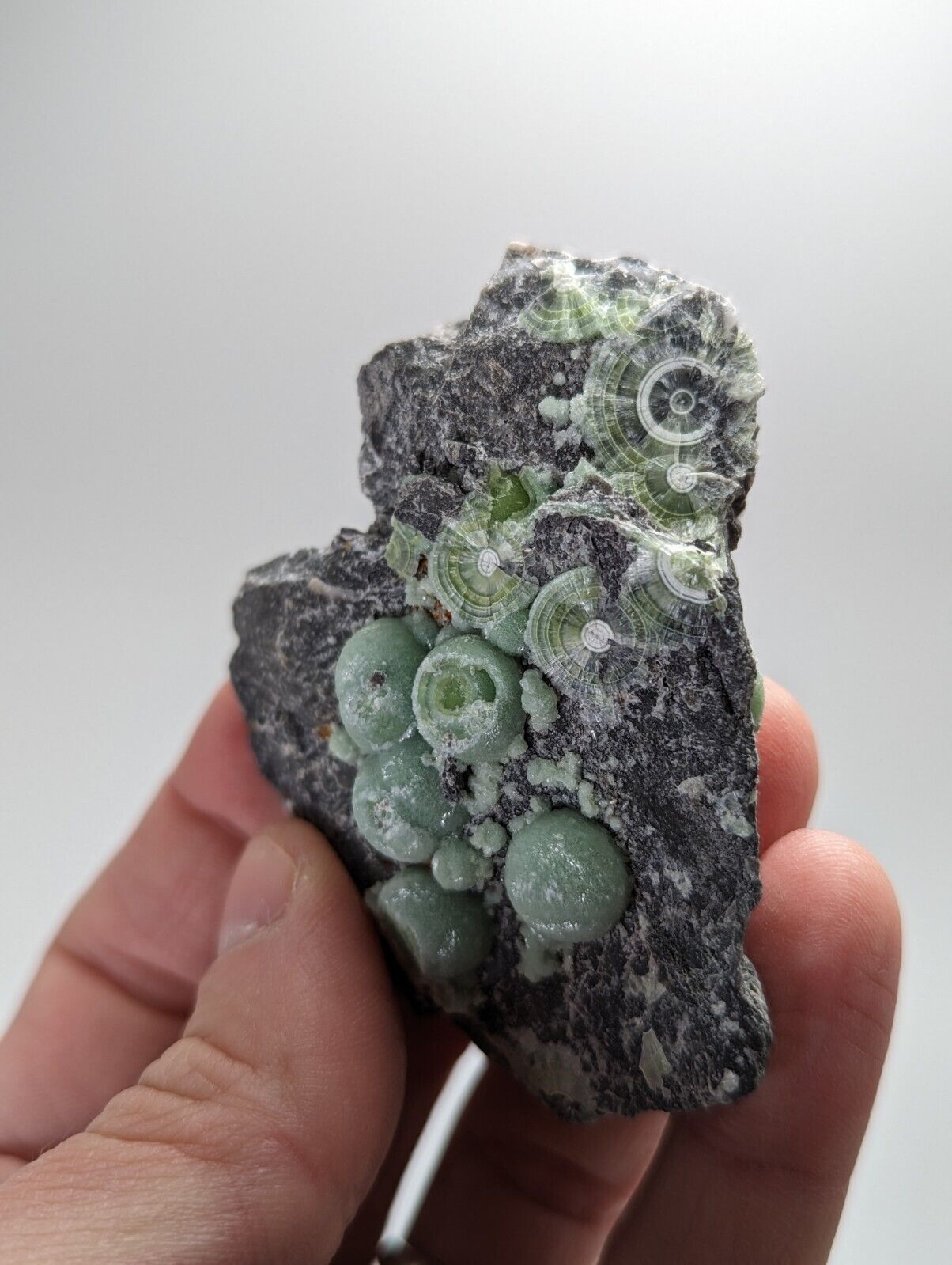 Wavellite - Fantastic Old Stock - Mauldin Mountain Arkansas - Collectibles:Rocks Fossils & Minerals:Crystals Mineral