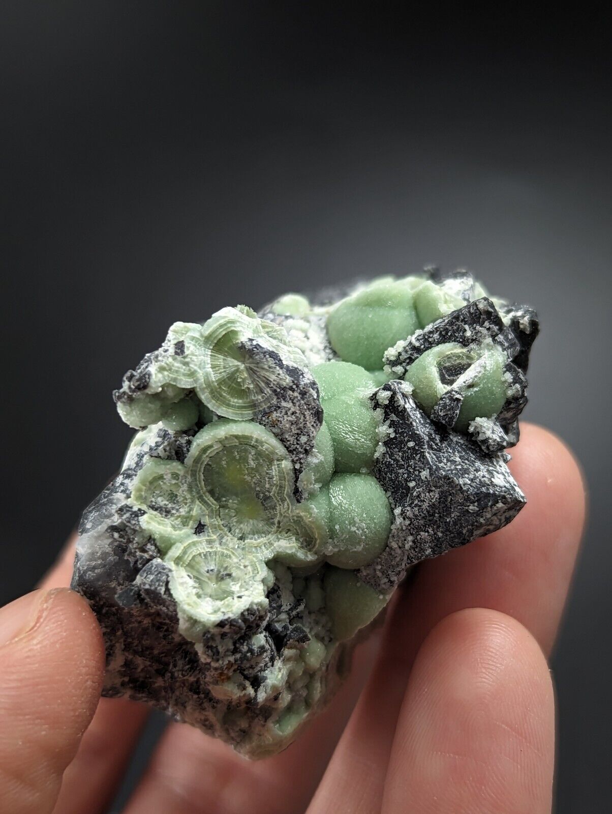 Wavellite - Fantastic Old Stock - Mauldin Mountain Arkansas - Collectibles:Rocks Fossils & Minerals:Crystals Mineral