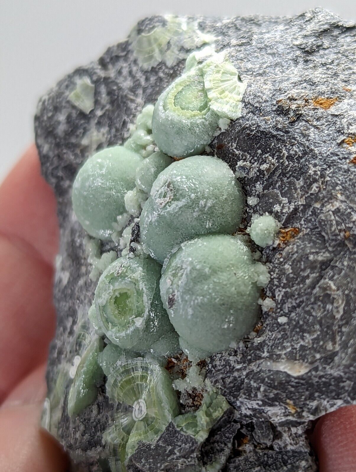 Wavellite - Fantastic Old Stock - Mauldin Mountain Arkansas - Collectibles:Rocks Fossils & Minerals:Crystals Mineral