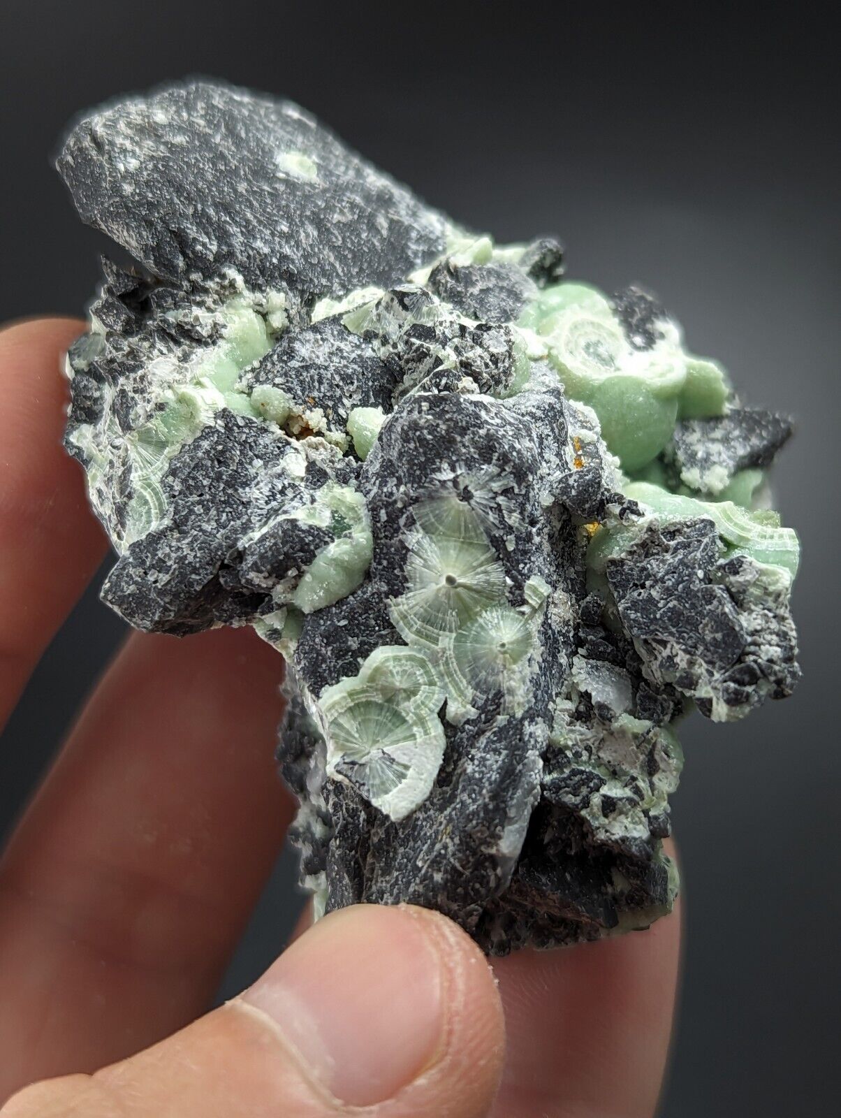 Wavellite - Fantastic Old Stock - Mauldin Mountain Arkansas - Collectibles:Rocks Fossils & Minerals:Crystals Mineral