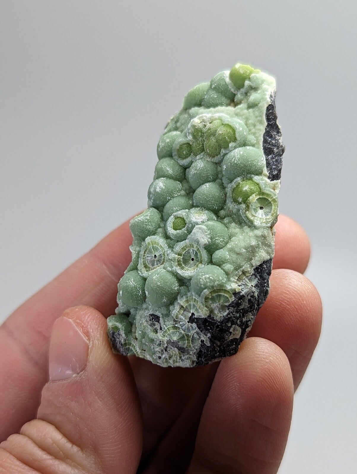Wavellite - Fantastic Old Stock - Mauldin Mountain Arkansas - Collectibles:Rocks Fossils & Minerals:Crystals Mineral