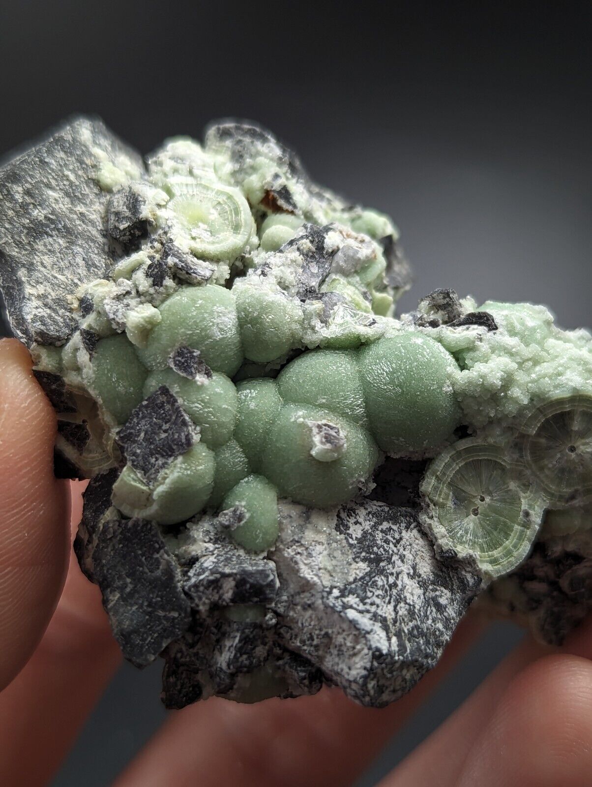 Wavellite - Fantastic Old Stock - Mauldin Mountain Arkansas - Collectibles:Rocks Fossils & Minerals:Crystals Mineral