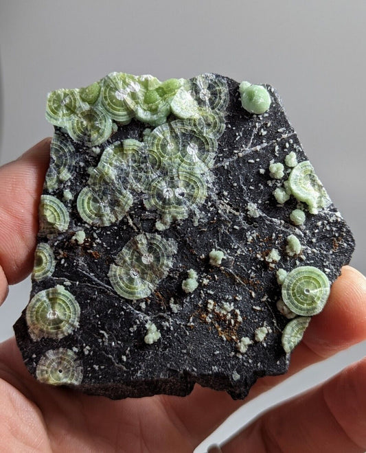 Wavellite - Fantastic Old Stock - Mauldin Mountain Arkansas - Collectibles:Rocks Fossils & Minerals:Crystals Mineral