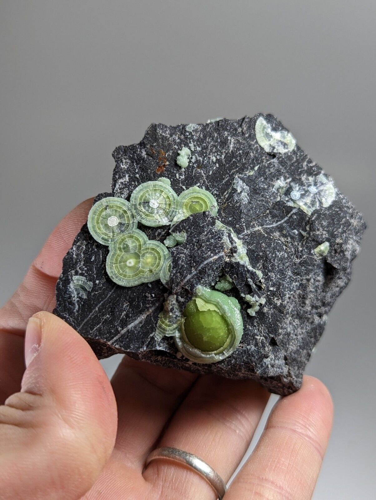Wavellite - Fantastic Old Stock - Mauldin Mountain Arkansas - Collectibles:Rocks Fossils & Minerals:Crystals Mineral