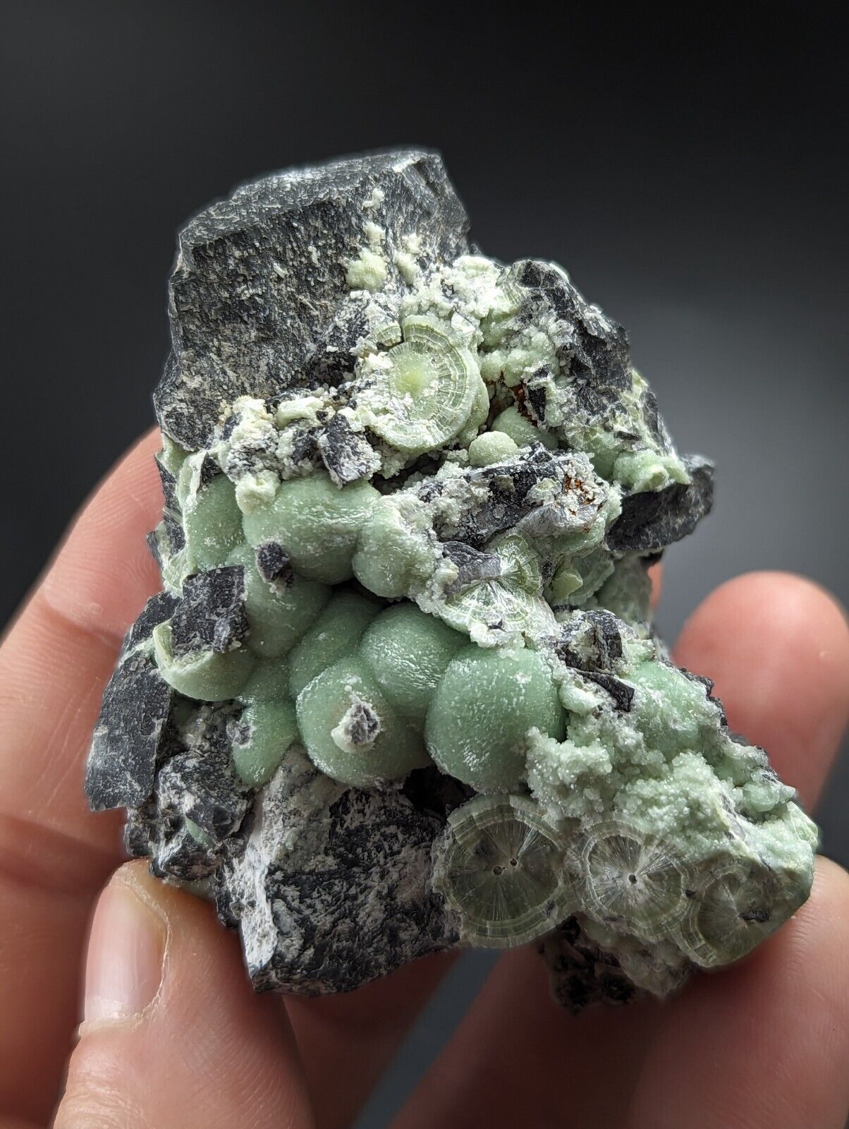 Wavellite - Fantastic Old Stock - Mauldin Mountain Arkansas - Collectibles:Rocks Fossils & Minerals:Crystals Mineral