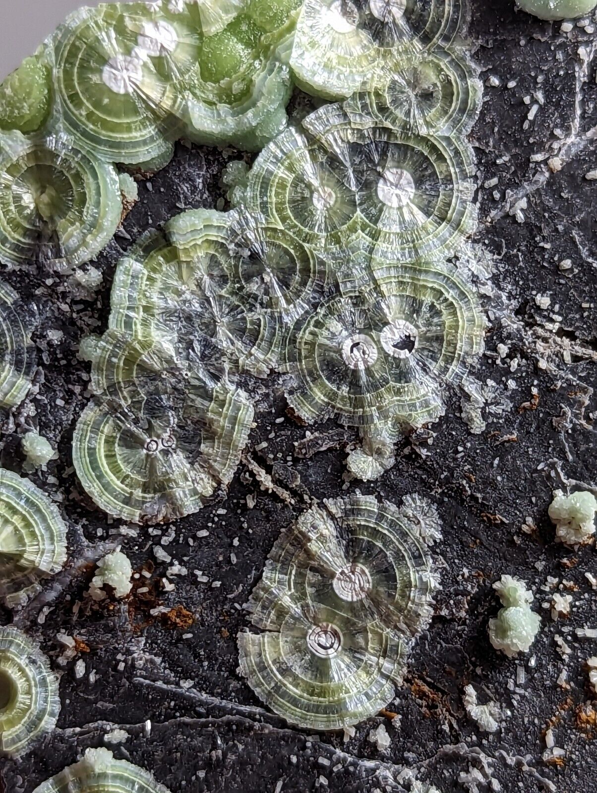 Wavellite - Fantastic Old Stock - Mauldin Mountain Arkansas - Collectibles:Rocks Fossils & Minerals:Crystals Mineral