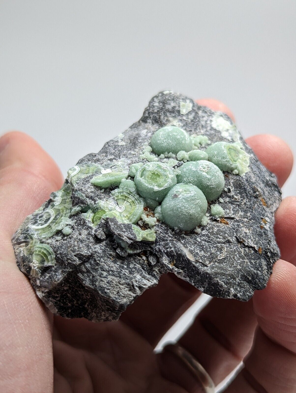 Wavellite - Fantastic Old Stock - Mauldin Mountain Arkansas - Collectibles:Rocks Fossils & Minerals:Crystals Mineral