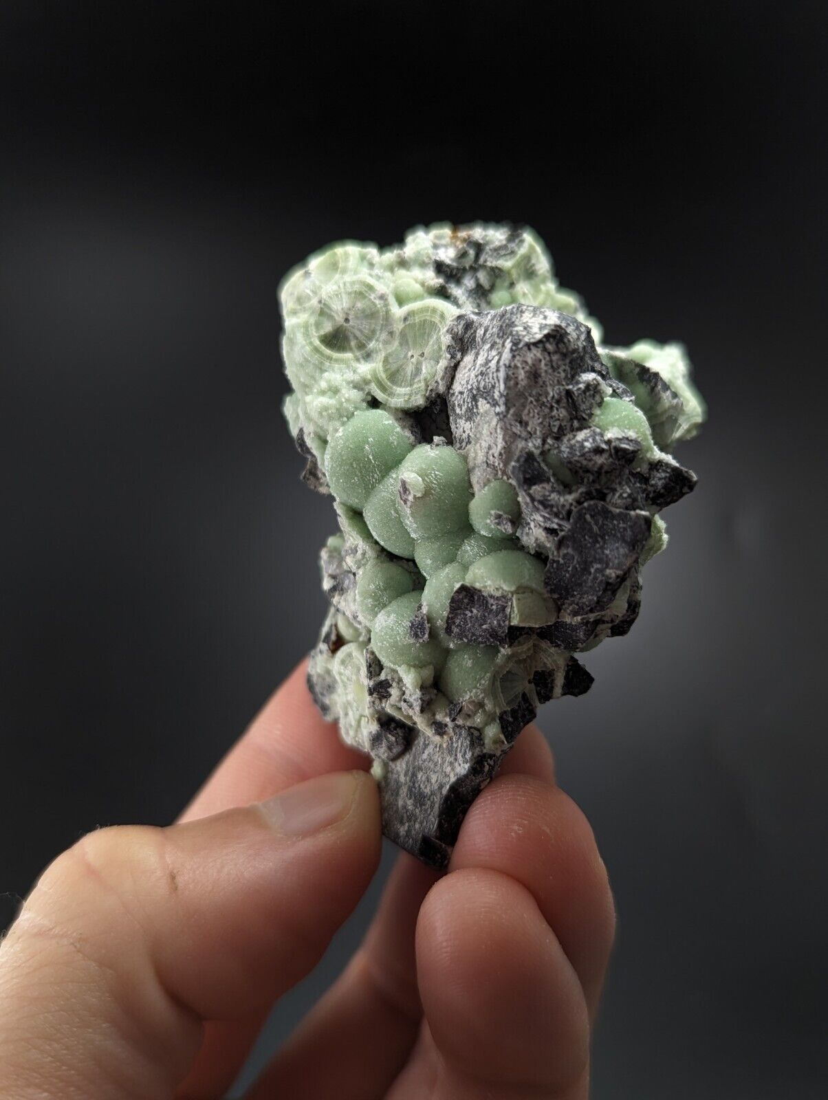 Wavellite - Fantastic Old Stock - Mauldin Mountain Arkansas - Collectibles:Rocks Fossils & Minerals:Crystals Mineral
