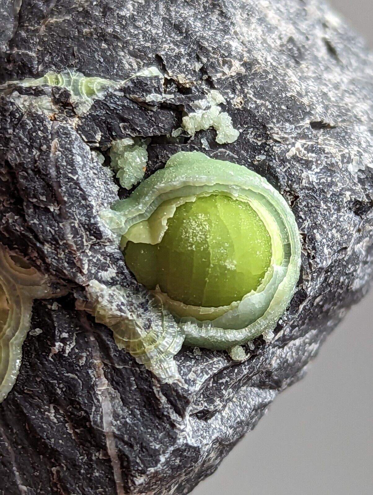 Wavellite - Fantastic Old Stock - Mauldin Mountain Arkansas - Collectibles:Rocks Fossils & Minerals:Crystals Mineral