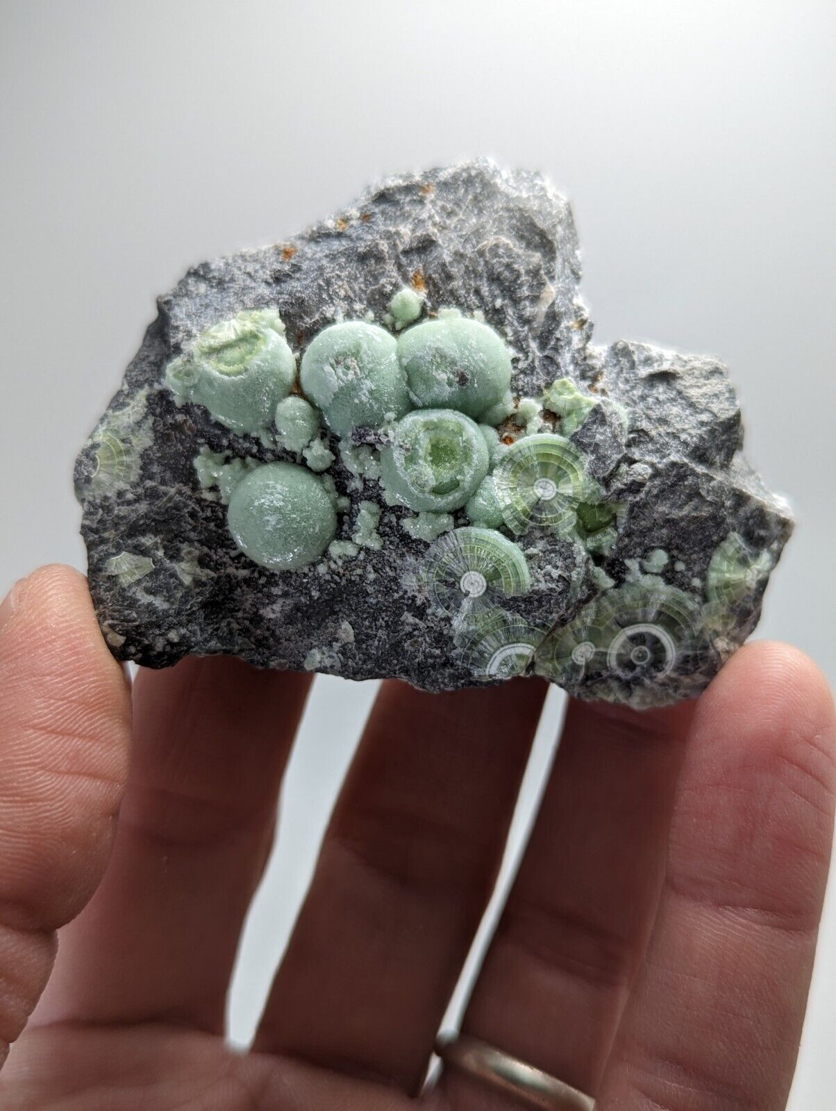 Wavellite - Fantastic Old Stock - Mauldin Mountain Arkansas - Collectibles:Rocks Fossils & Minerals:Crystals Mineral