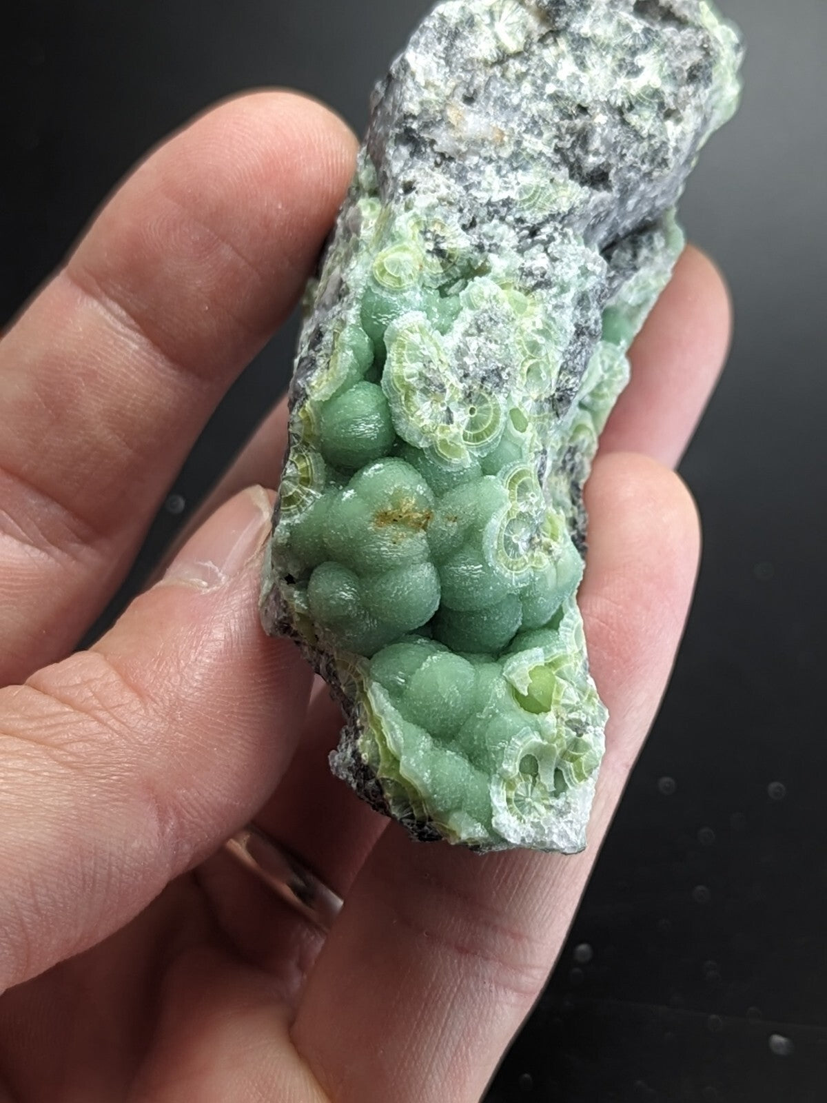 A hand holds a specimen of green, translucent, bubble-like mineral formations embedded in a rough gray matrix.