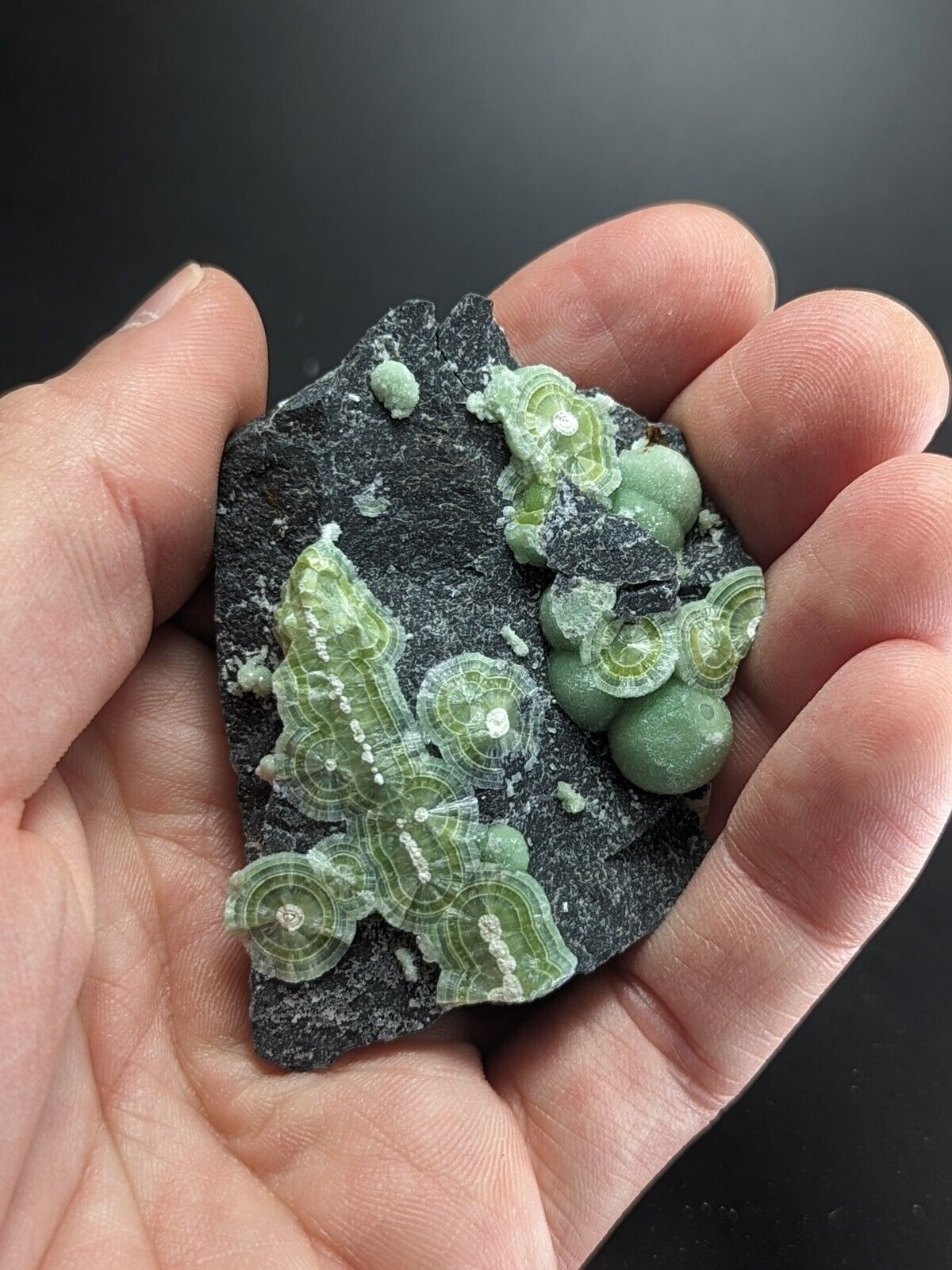 Wavellite - Fantastic Old Stock - Mauldin Mountain Arkansas ooak - Collectibles:Rocks Fossils & Minerals:Crystals