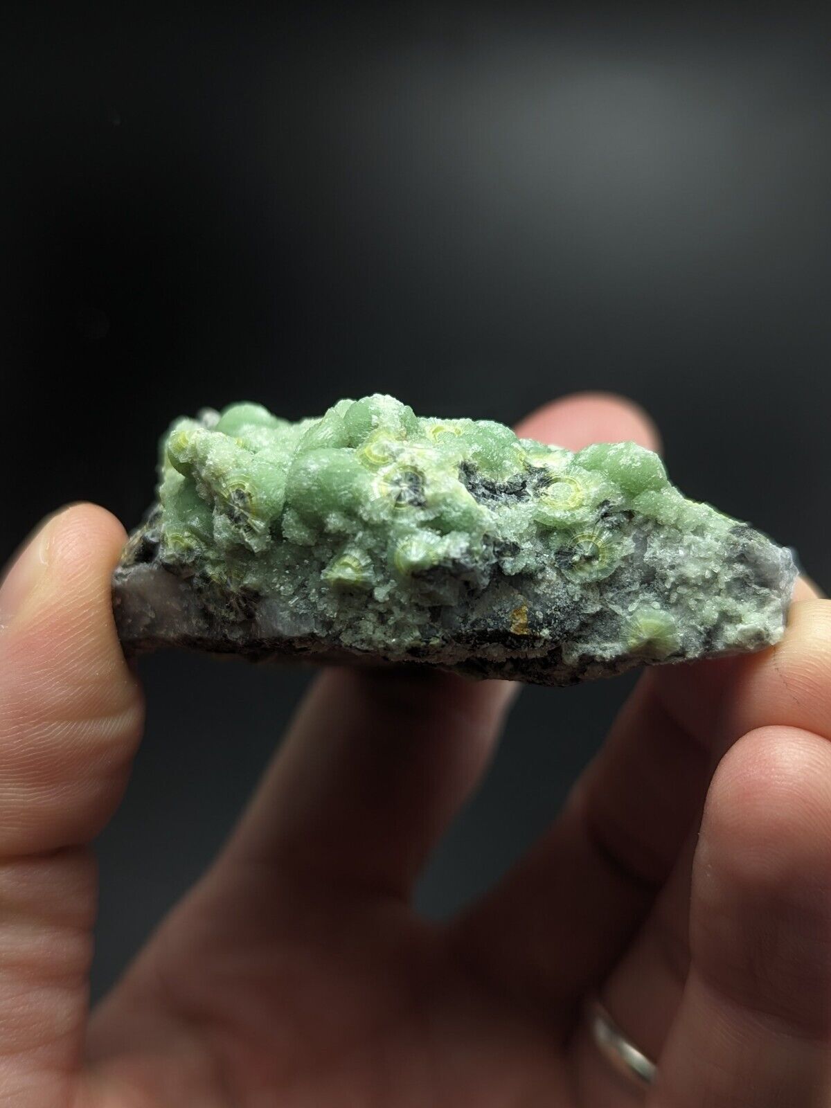 Wavellite - Fantastic Old Stock - Mauldin Mountain Arkansas ooak - Collectibles:Rocks Fossils & Minerals:Crystals