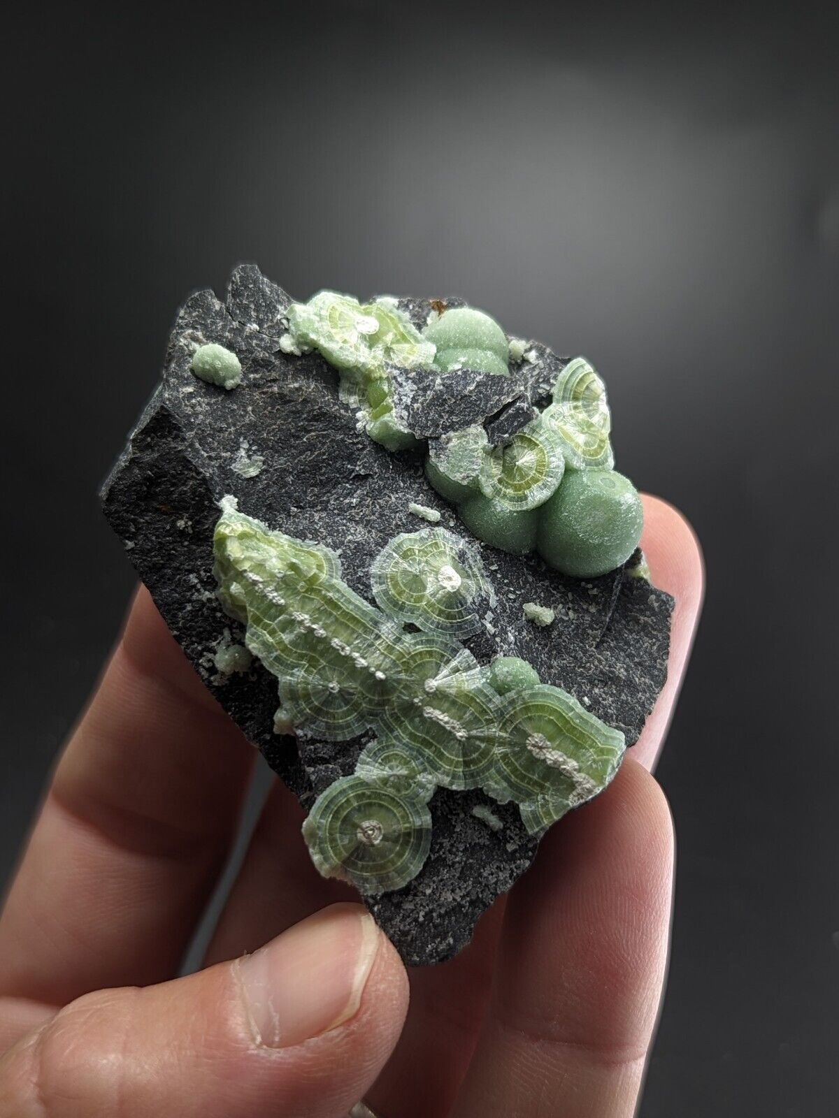 Wavellite - Fantastic Old Stock - Mauldin Mountain Arkansas ooak - Collectibles:Rocks Fossils & Minerals:Crystals