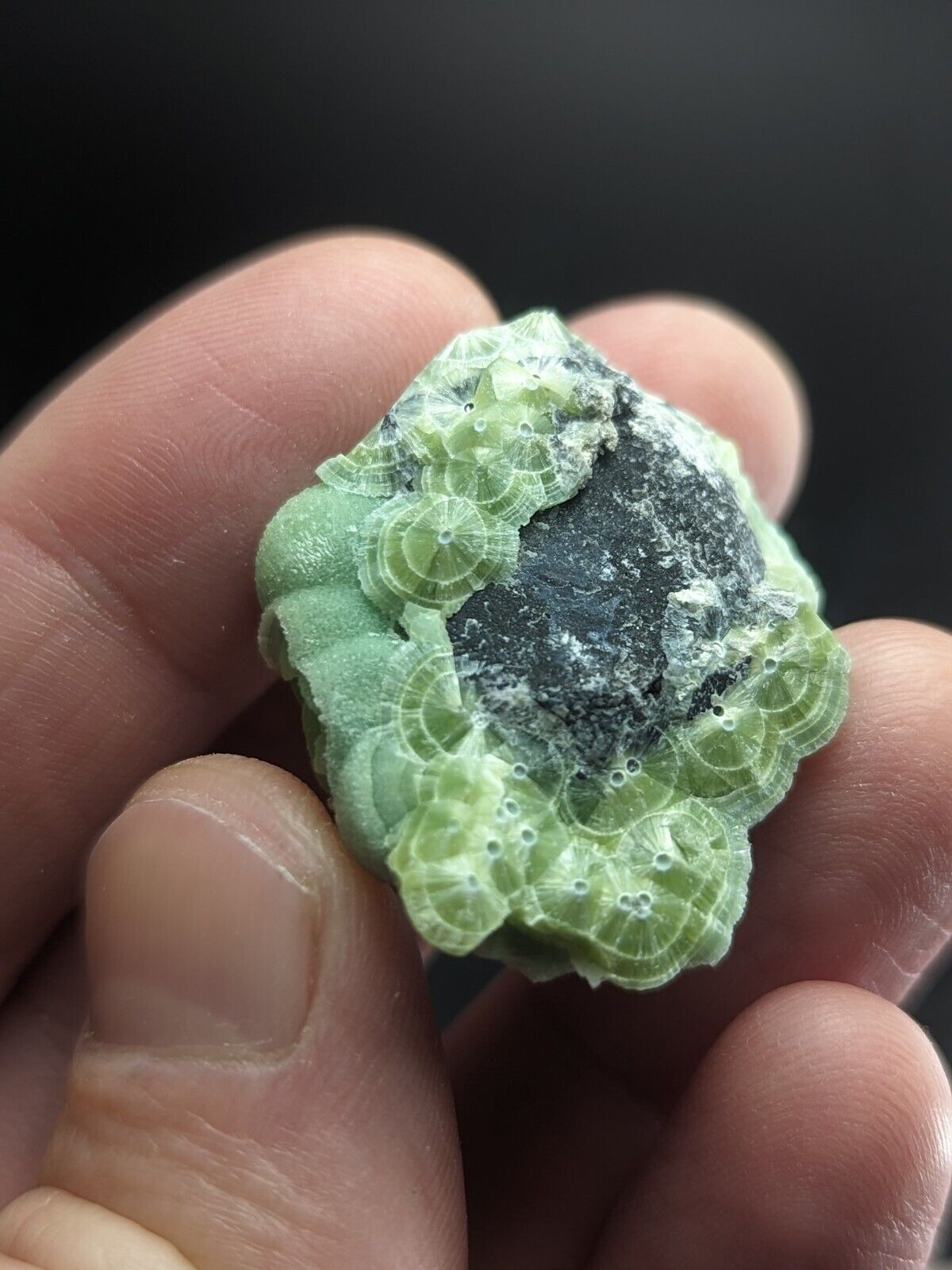 Wavellite - Fantastic Old Stock - Mauldin Mountain Arkansas ooak - Collectibles:Rocks Fossils & Minerals:Crystals
