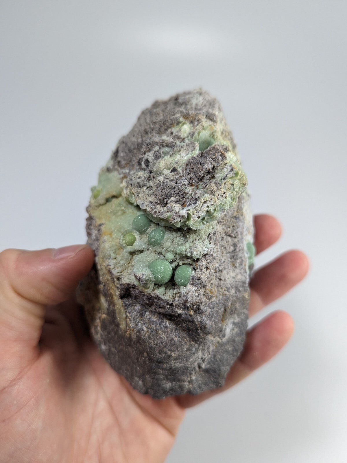 A hand holds a rough, gray rock specimen featuring clusters of small, round, light green crystals embedded in its surface.