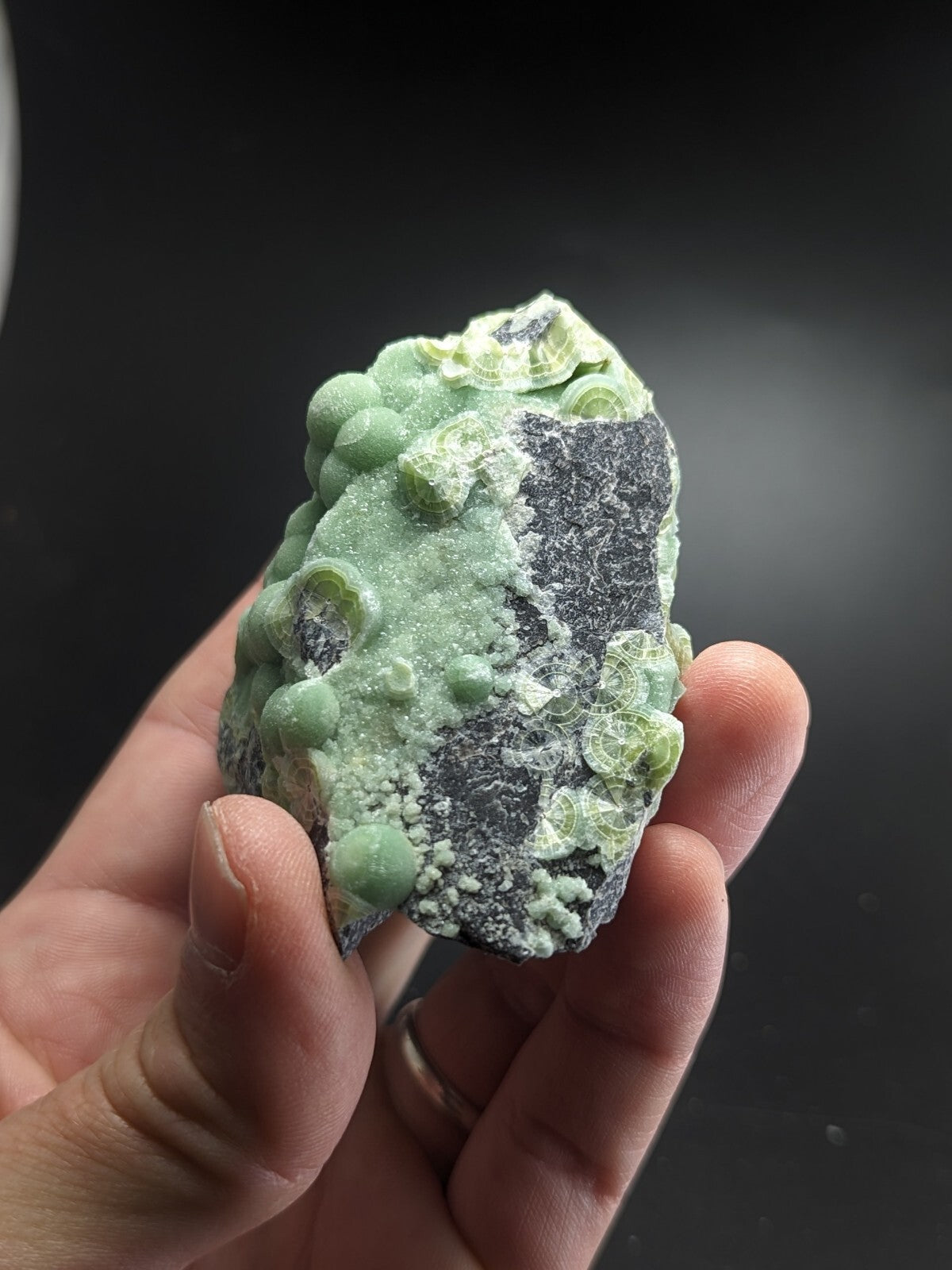 A hand holds a green, textured mineral specimen with rounded, bubble-like formations and dark gray patches.