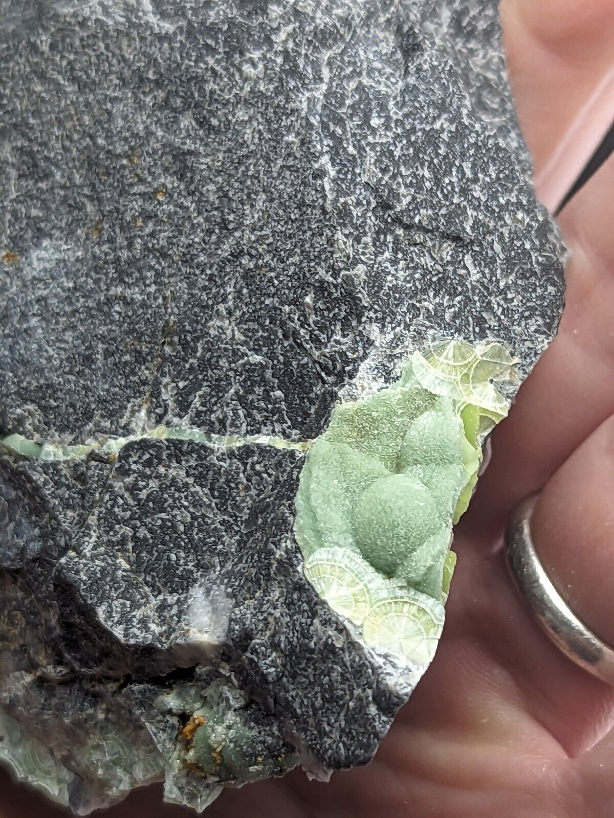 Wavellite - Fantastic Old Stock - Mauldin Mountain Arkansas ooak - Collectibles:Rocks Fossils & Minerals:Crystals