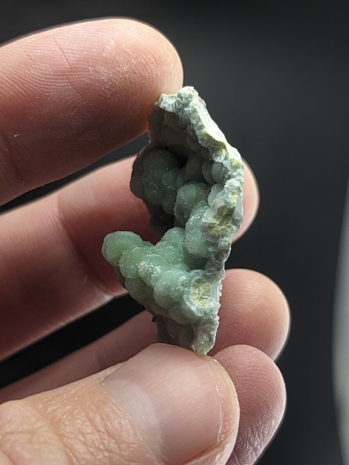 Wavellite - Fantastic Old Stock - Mauldin Mountain Arkansas ooak - Collectibles:Rocks Fossils & Minerals:Crystals