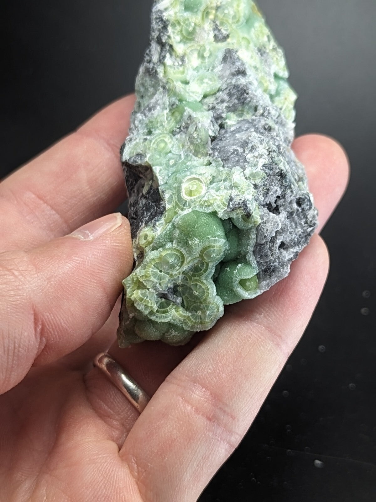 A hand holds a rough, irregularly shaped specimen of green and gray fossilized coral with intricate circular patterns.
