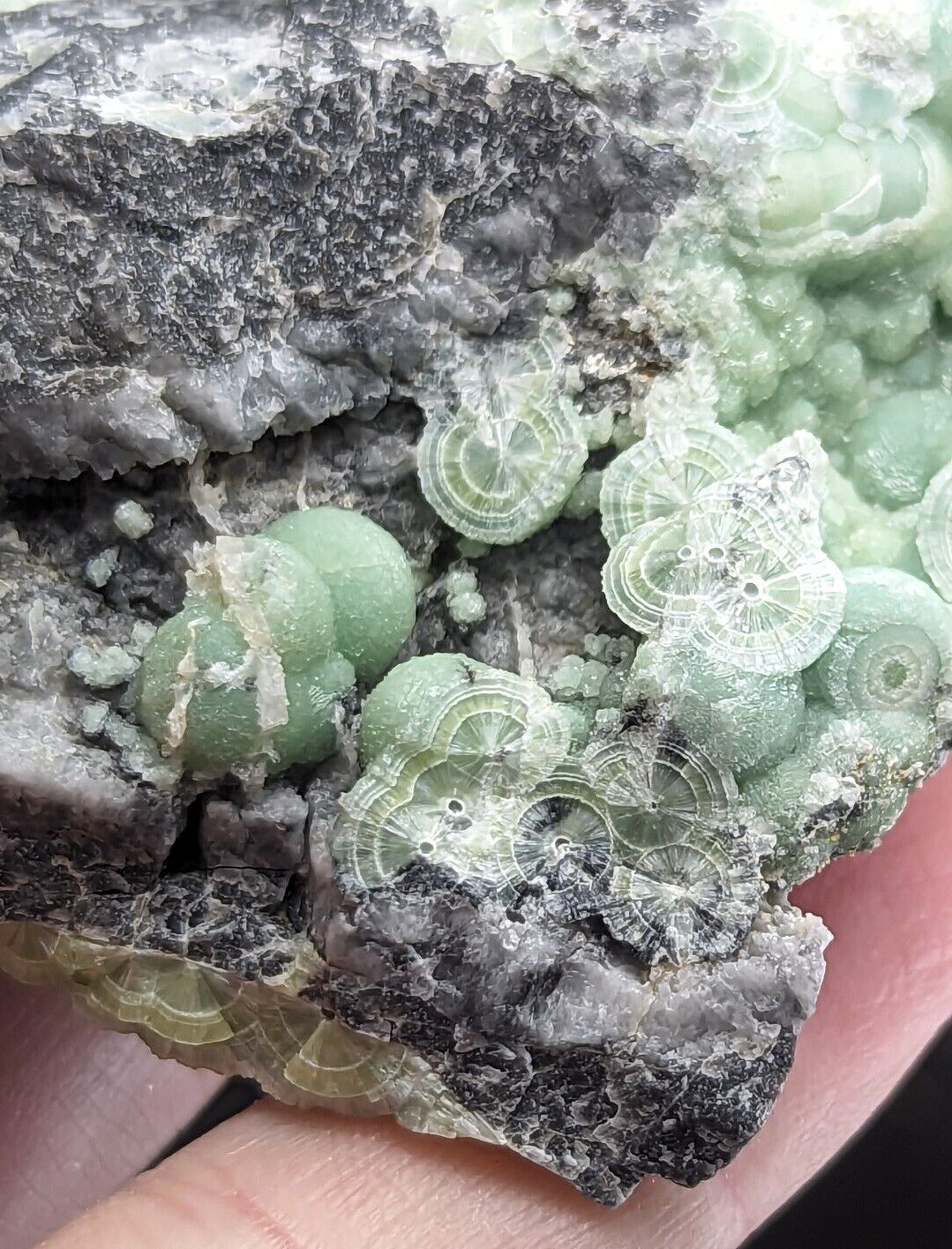 Wavellite - Fantastic Old Stock - Mauldin Mountain Arkansas ooak - Collectibles:Rocks Fossils & Minerals:Crystals