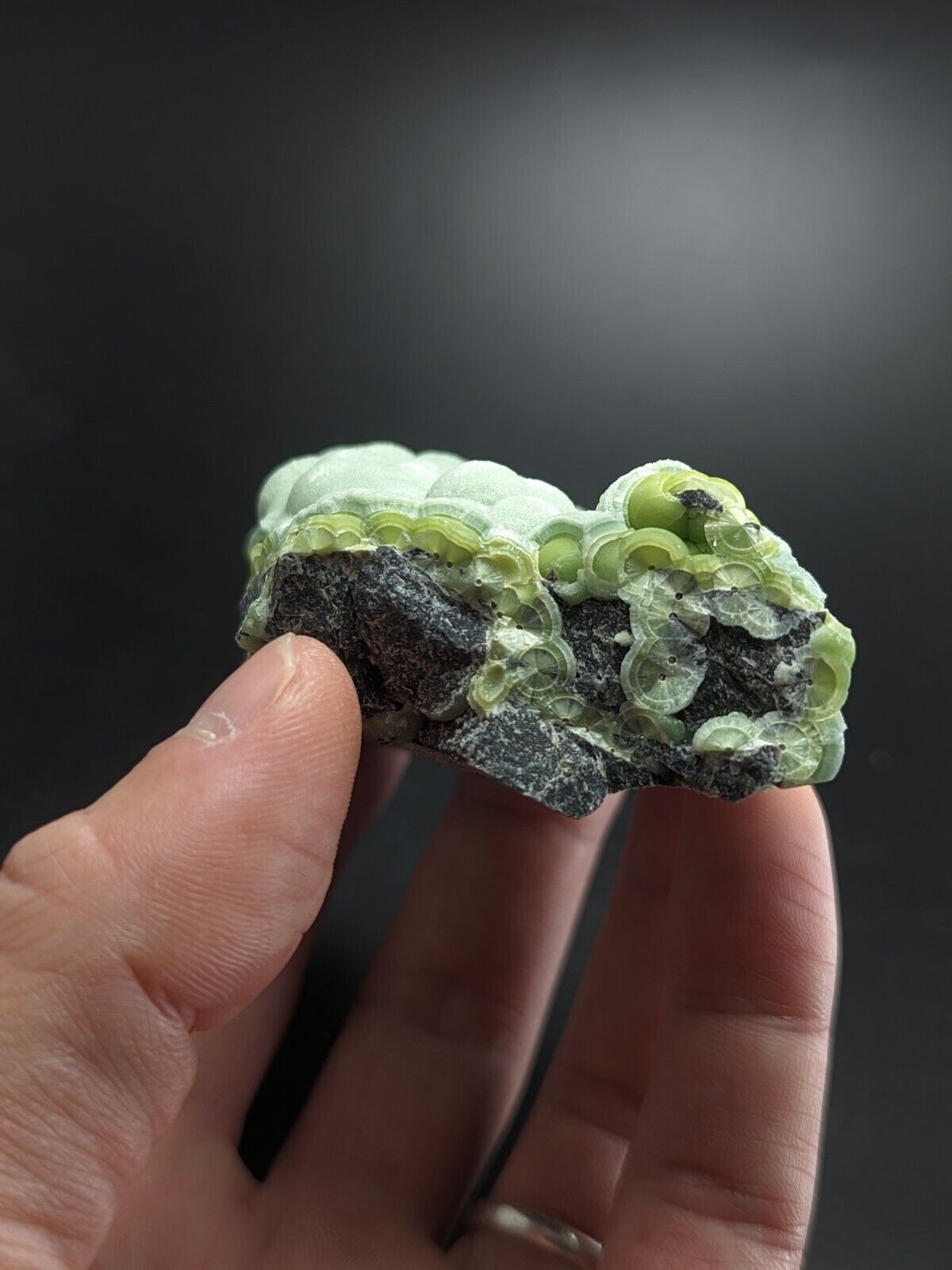 Wavellite - Fantastic Old Stock - Mauldin Mountain Arkansas ooak - Collectibles:Rocks Fossils & Minerals:Crystals