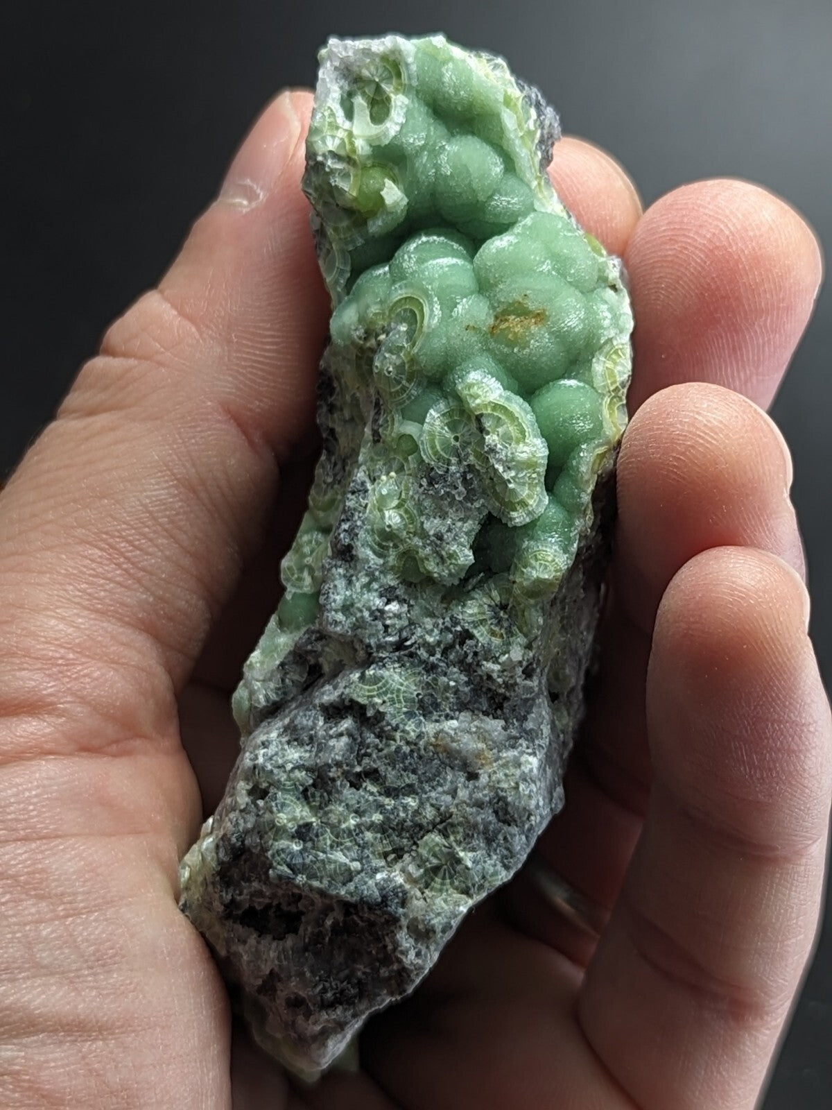 A hand holds a green, translucent mineral specimen with rounded, bubble-like formations clustered on top of a darker gray rock base.