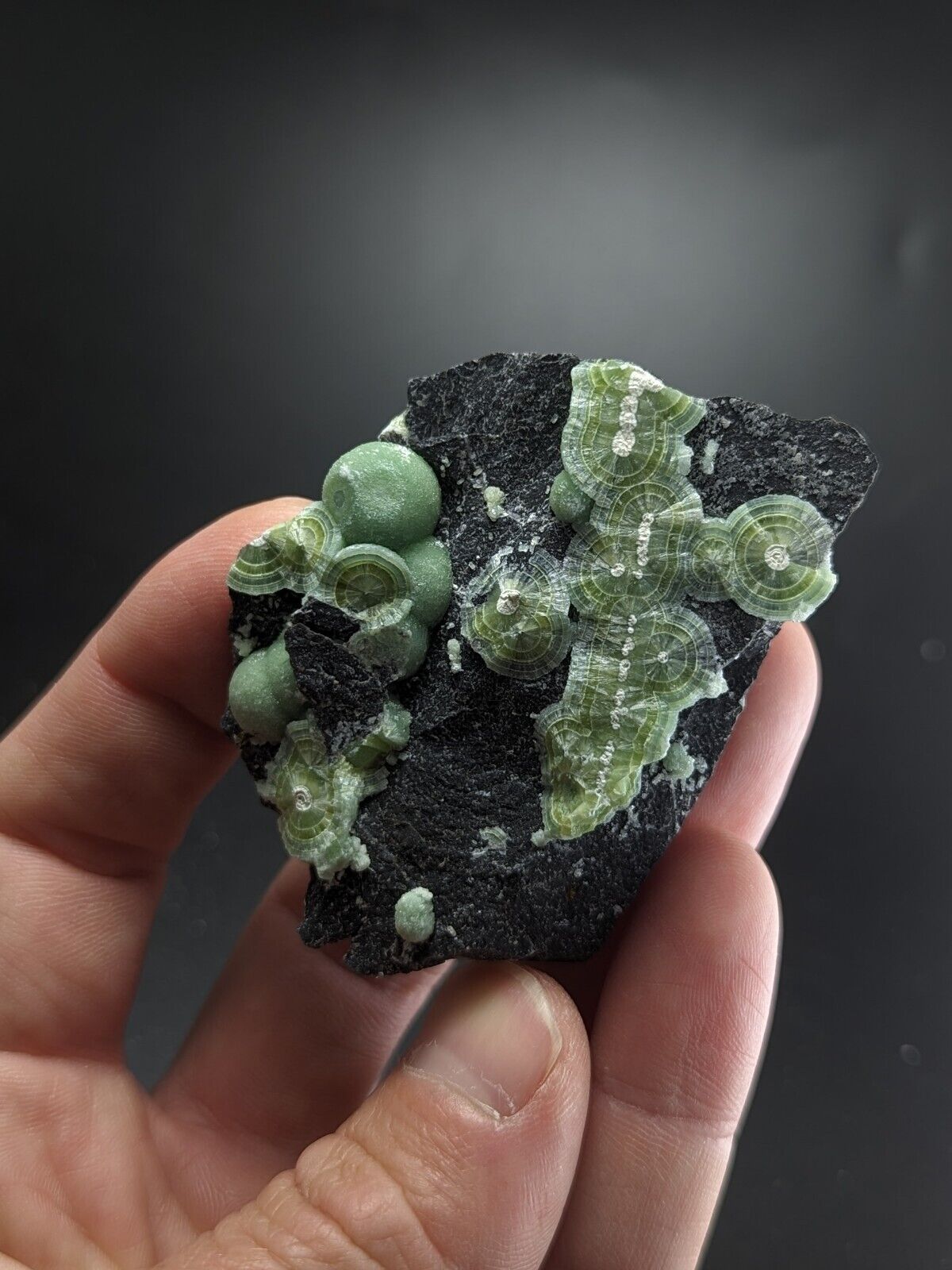 Wavellite - Fantastic Old Stock - Mauldin Mountain Arkansas ooak - Collectibles:Rocks Fossils & Minerals:Crystals