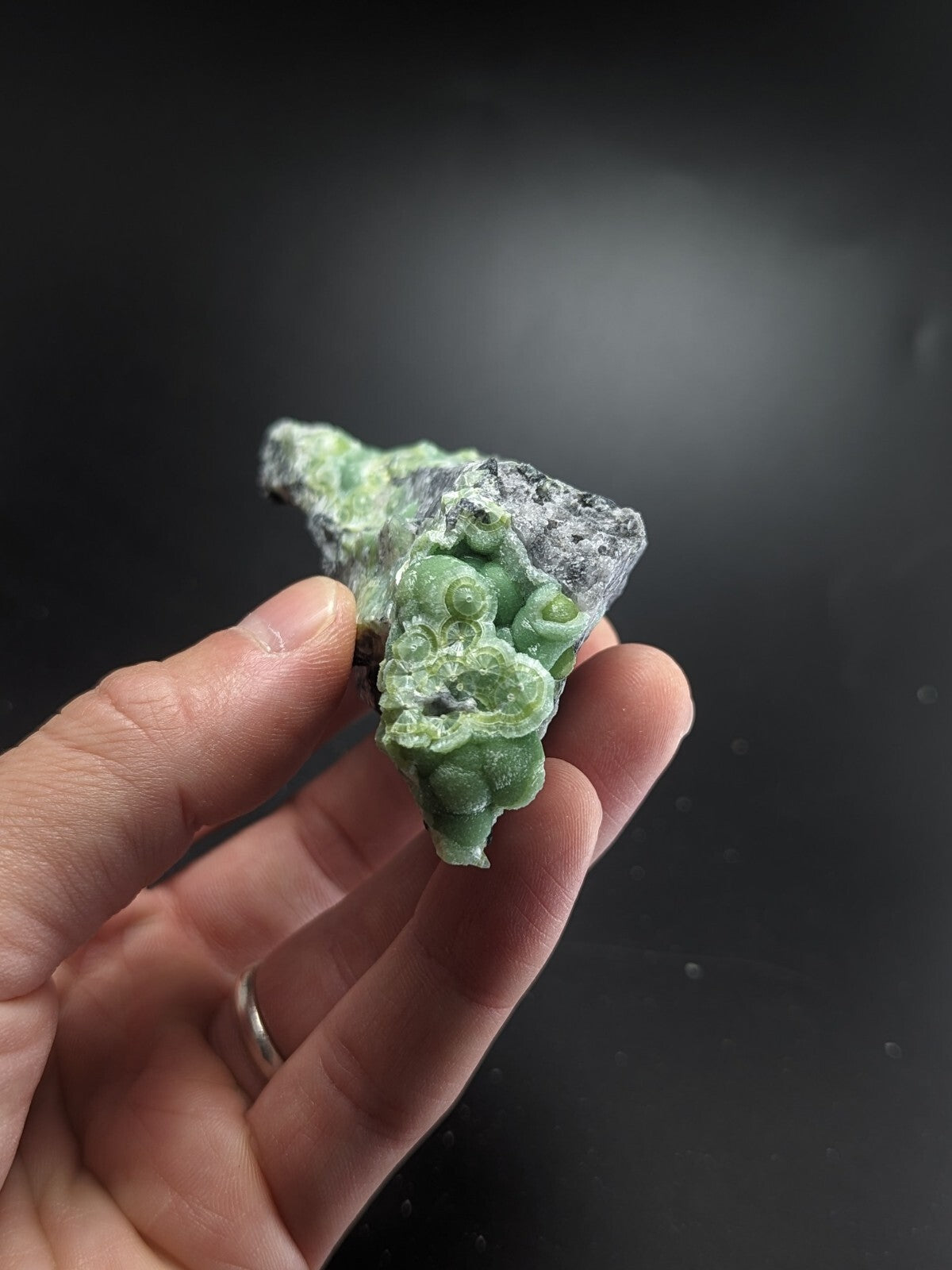 A hand holds a green, intricately carved mineral specimen with swirling patterns and embedded spiral formations against a dark background.