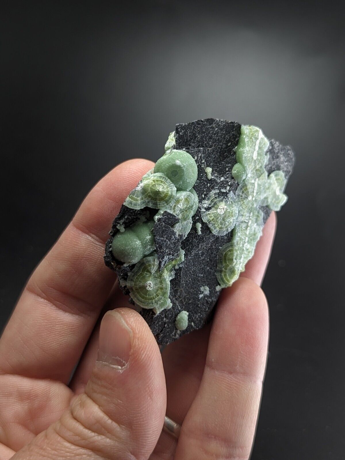Wavellite - Fantastic Old Stock - Mauldin Mountain Arkansas ooak - Collectibles:Rocks Fossils & Minerals:Crystals
