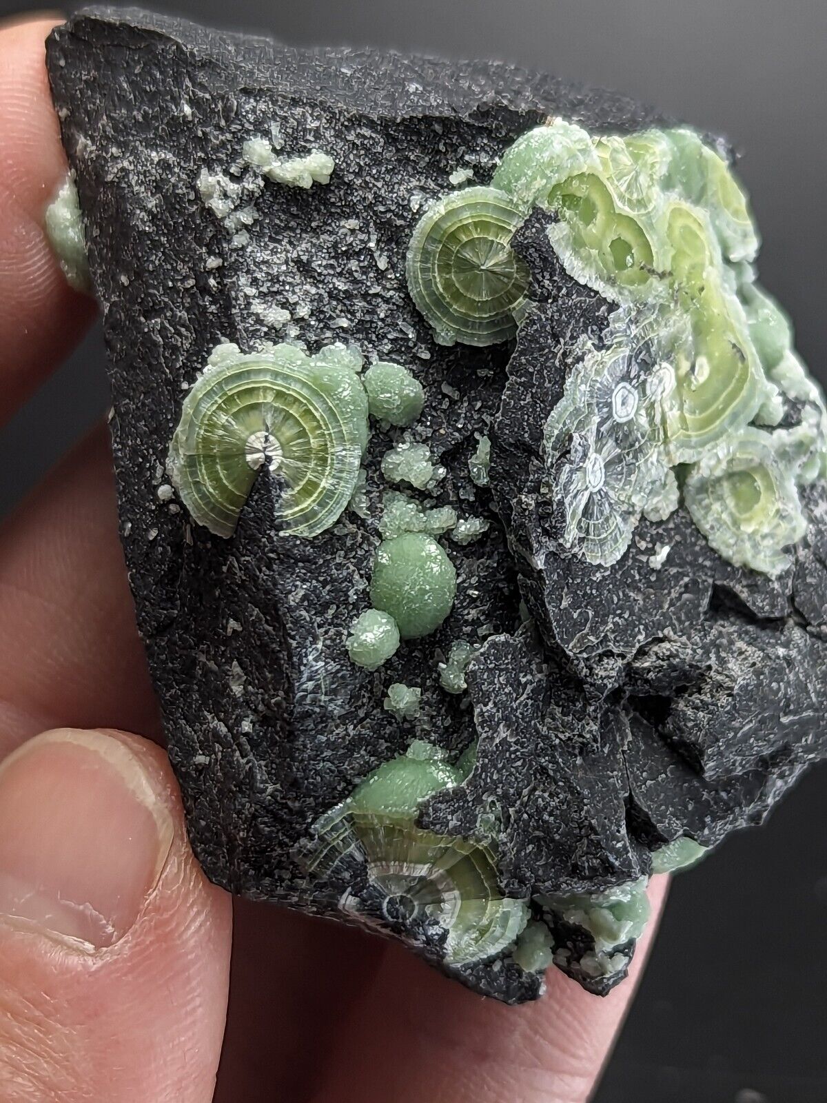 Wavellite - Fantastic Old Stock - Mauldin Mountain Arkansas ooak - Collectibles:Rocks Fossils & Minerals:Crystals