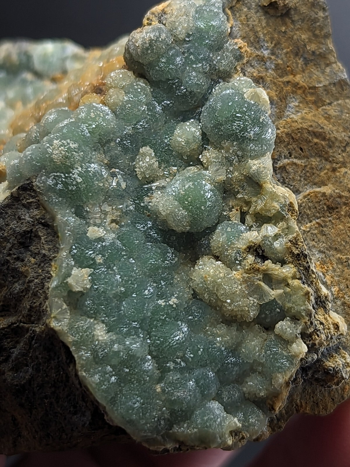 A cluster of translucent greenish-blue crystals with a bumpy, clustered growth pattern embedded in a rough brown rock matrix.