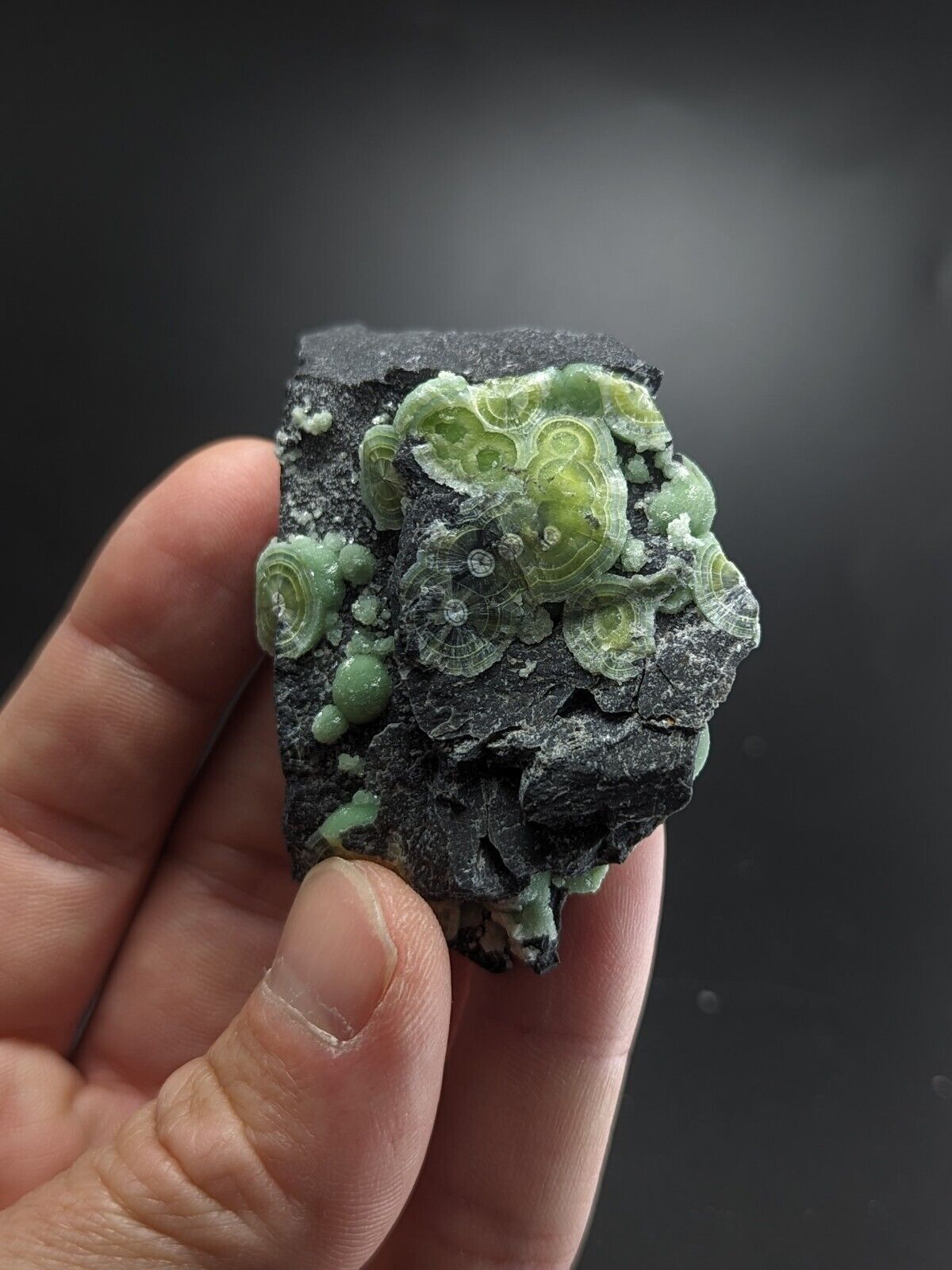 Wavellite - Fantastic Old Stock - Mauldin Mountain Arkansas ooak - Collectibles:Rocks Fossils & Minerals:Crystals