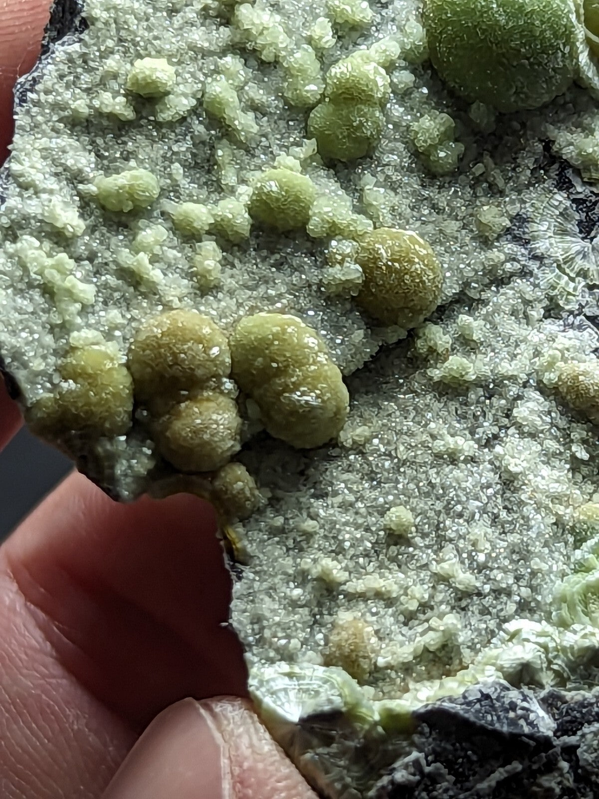 A hand holds a mineral specimen featuring clusters of translucent, pale green crystals growing from a darker gray matrix.