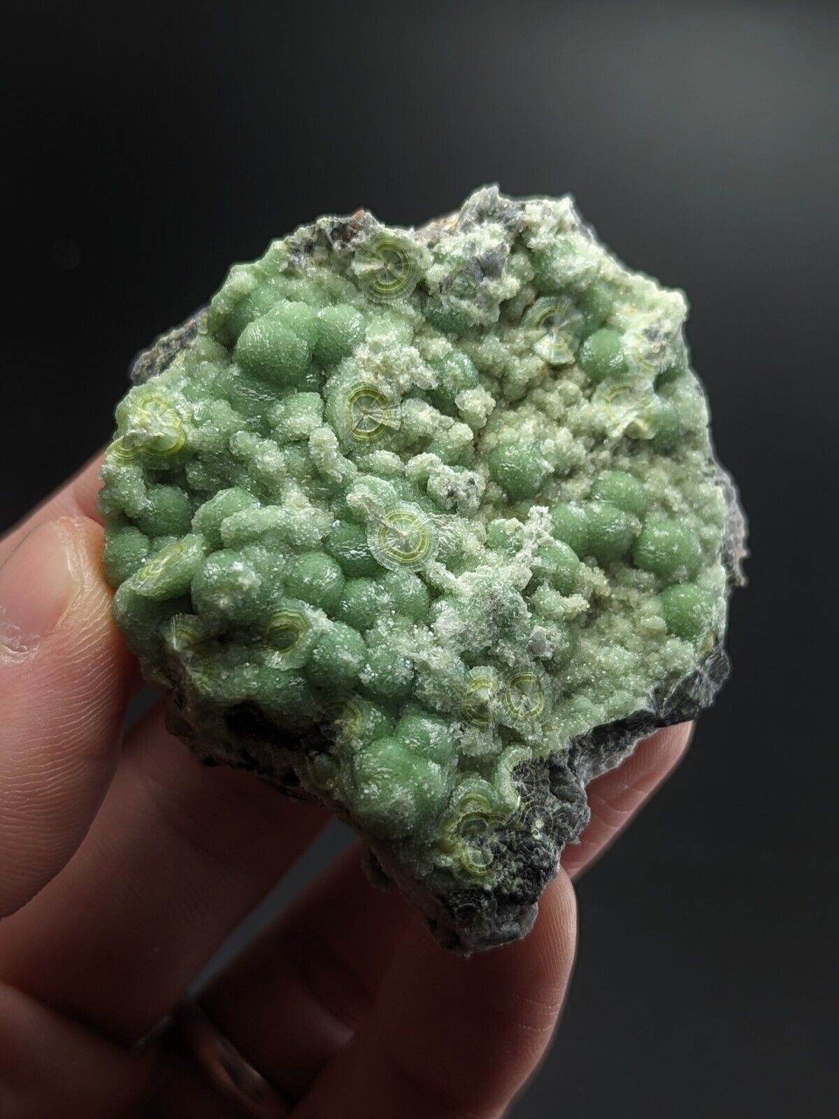 Wavellite - Fantastic Old Stock - Mauldin Mountain Arkansas ooak - Collectibles:Rocks Fossils & Minerals:Crystals