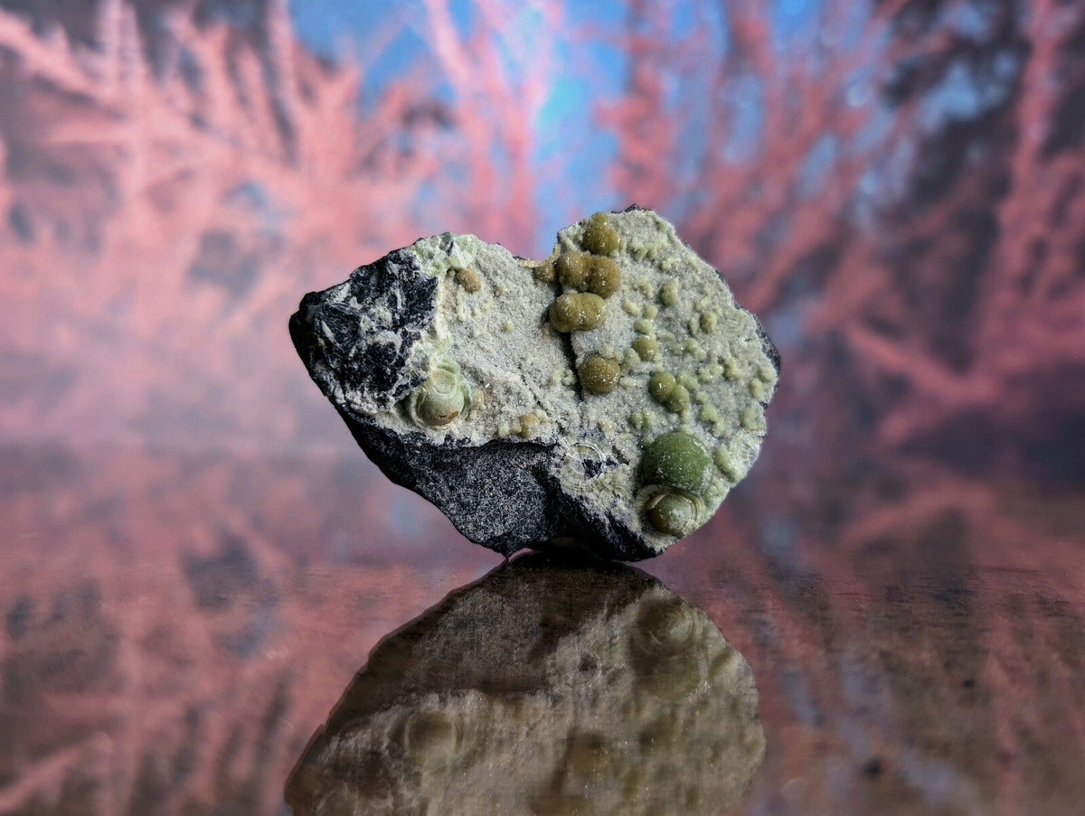 A dark, irregularly shaped rock with a textured surface featuring clusters of small, round greenish-yellow nodules.
