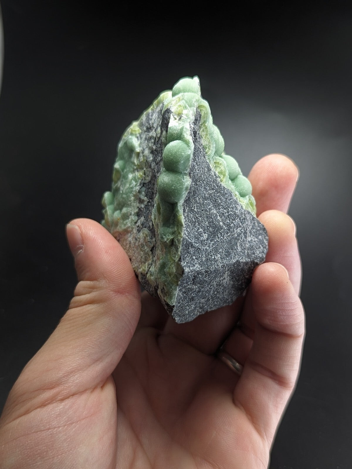 A hand holds a natural green bead-like mineral formation with smooth, rounded spheres clustered along its surface against a dark background.