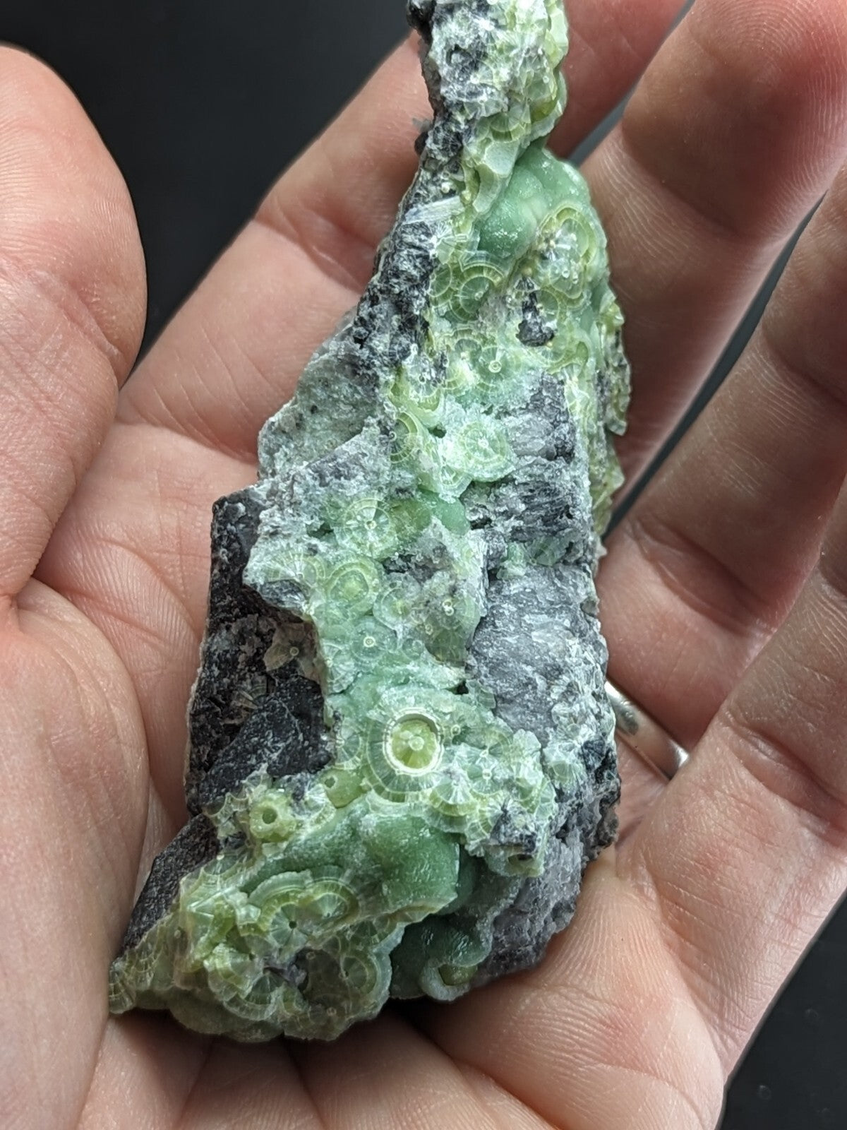 A hand holds a green, translucent mineral specimen with intricate circular patterns embedded in dark rock.