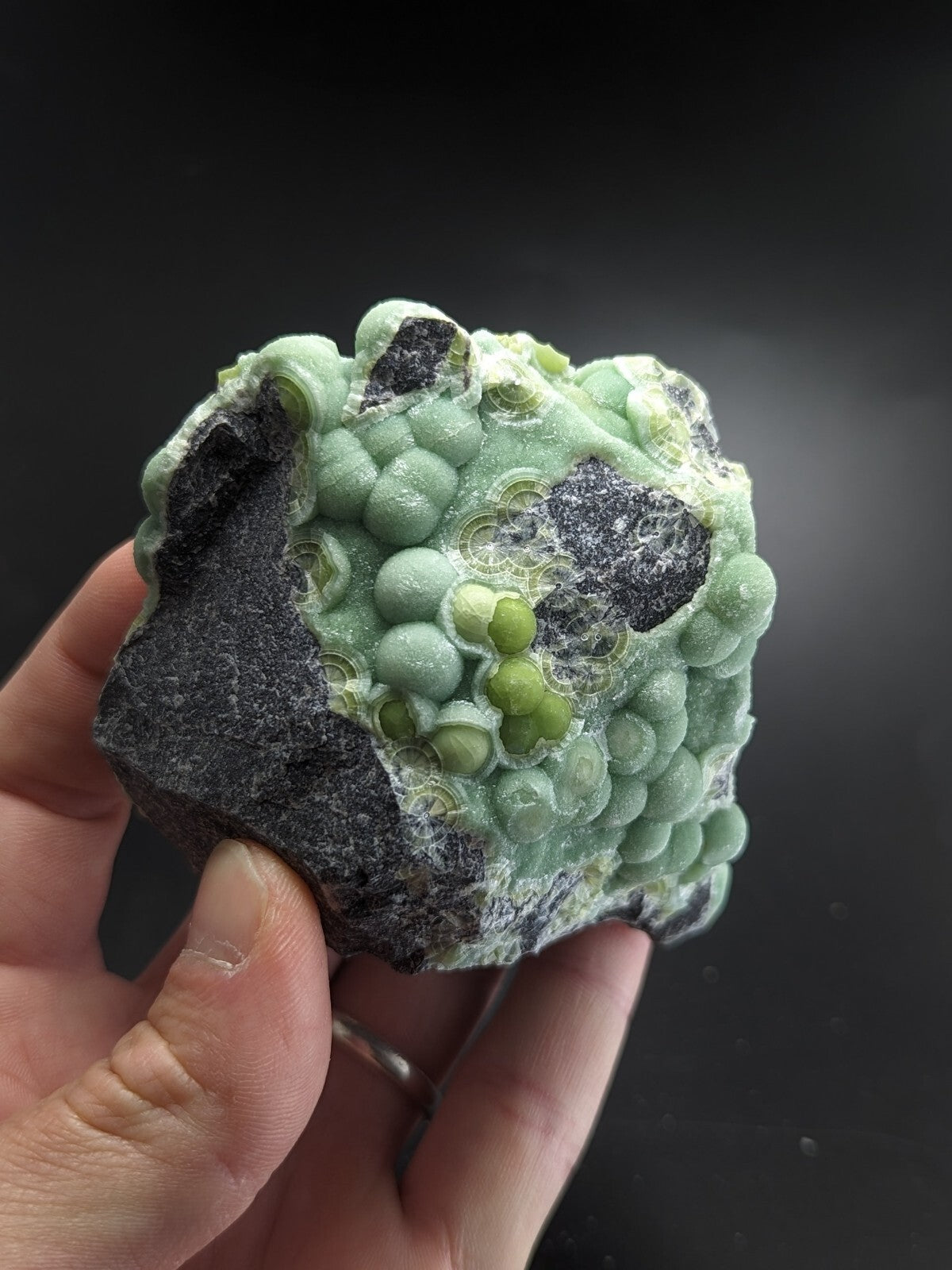 A hand holds a striking green and black mineral specimen featuring rounded, bead-like formations clustered on its surface.