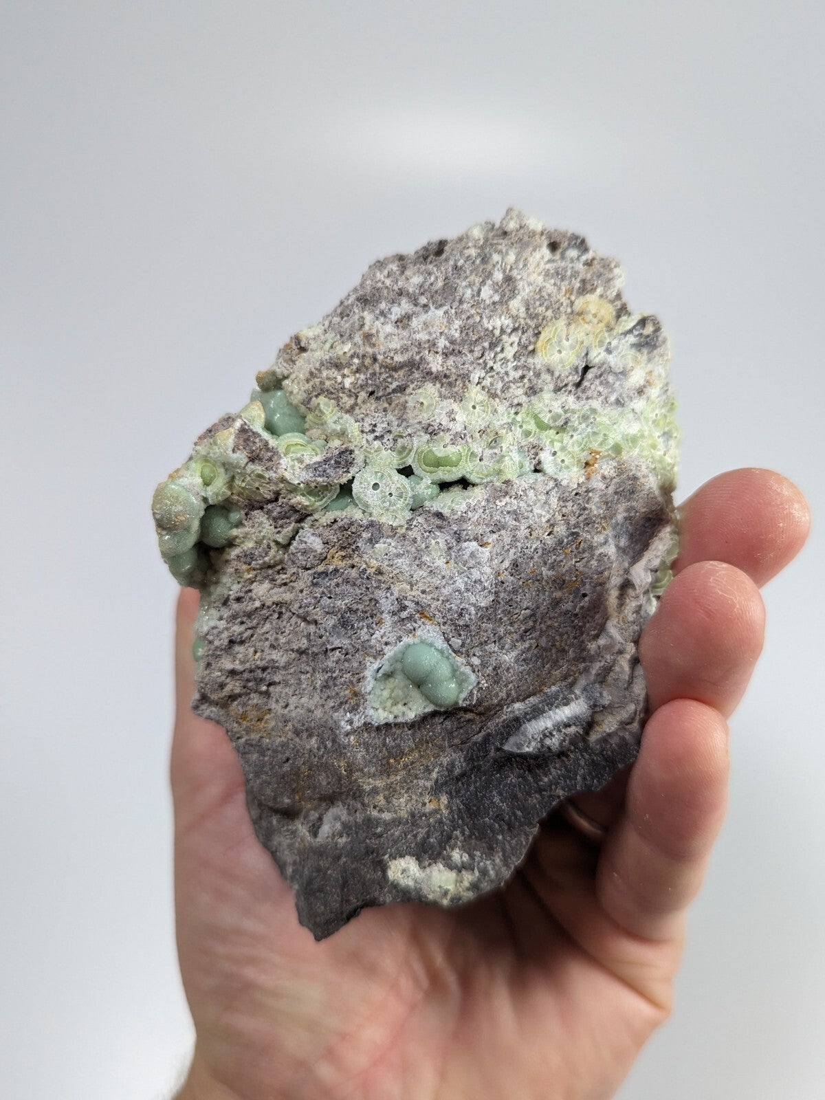 A hand holds a rough, gray rock specimen featuring clusters of pale green, translucent mineral formations.