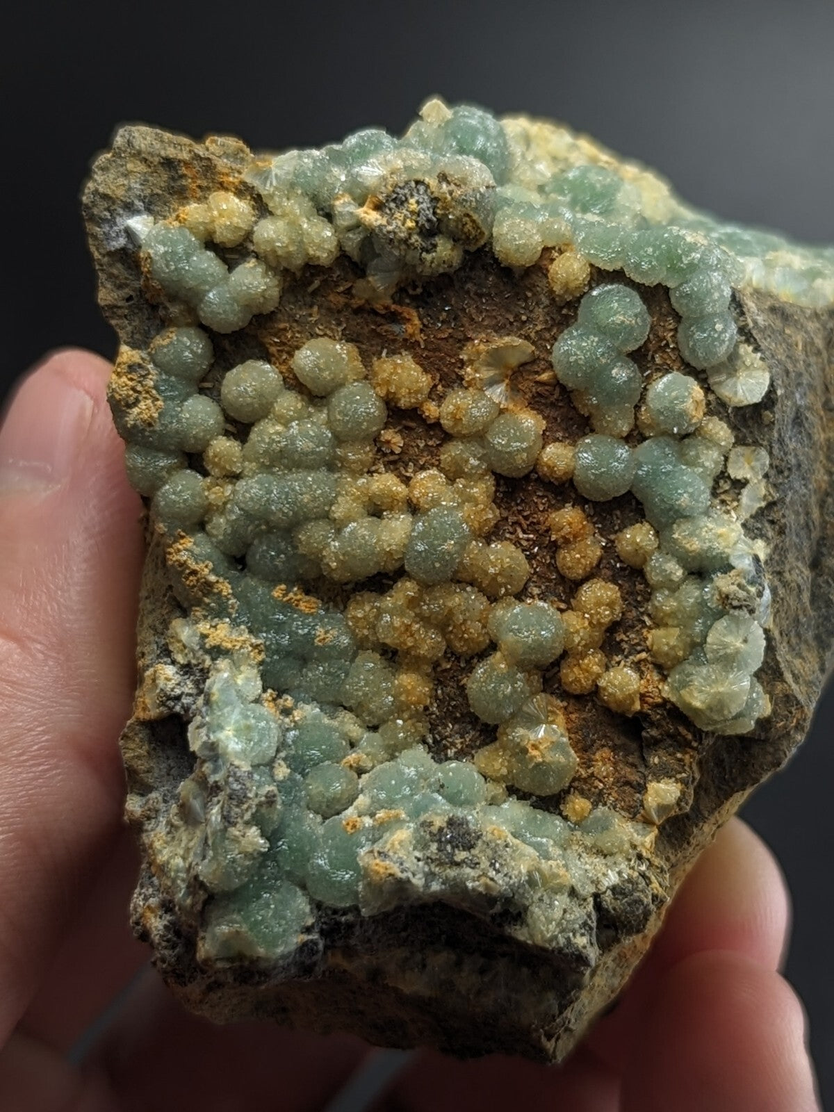 A hand holds a rough, dark brown rock specimen featuring clusters of translucent light green and pale yellow spherical crystals.